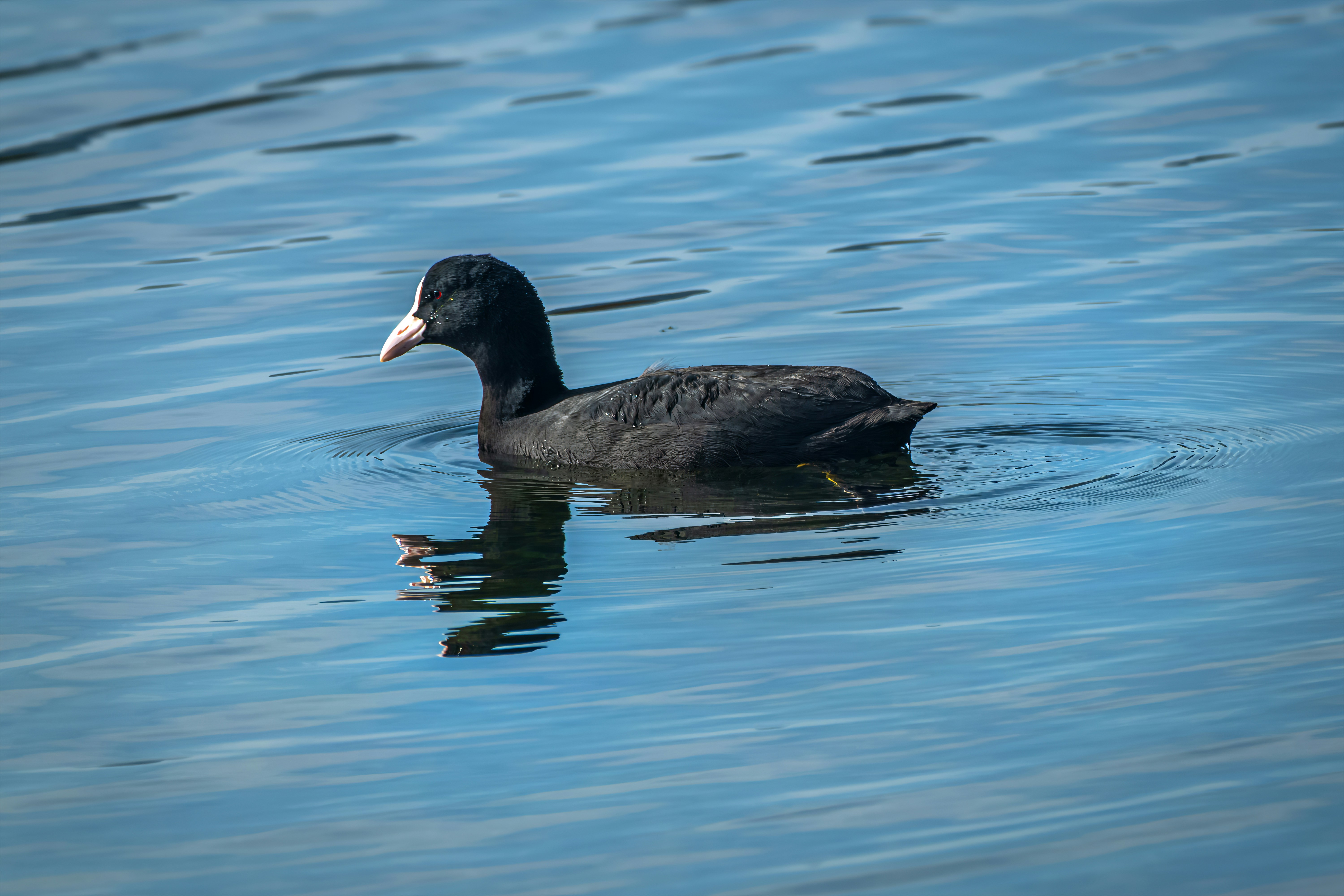 Photo by graphis_photos