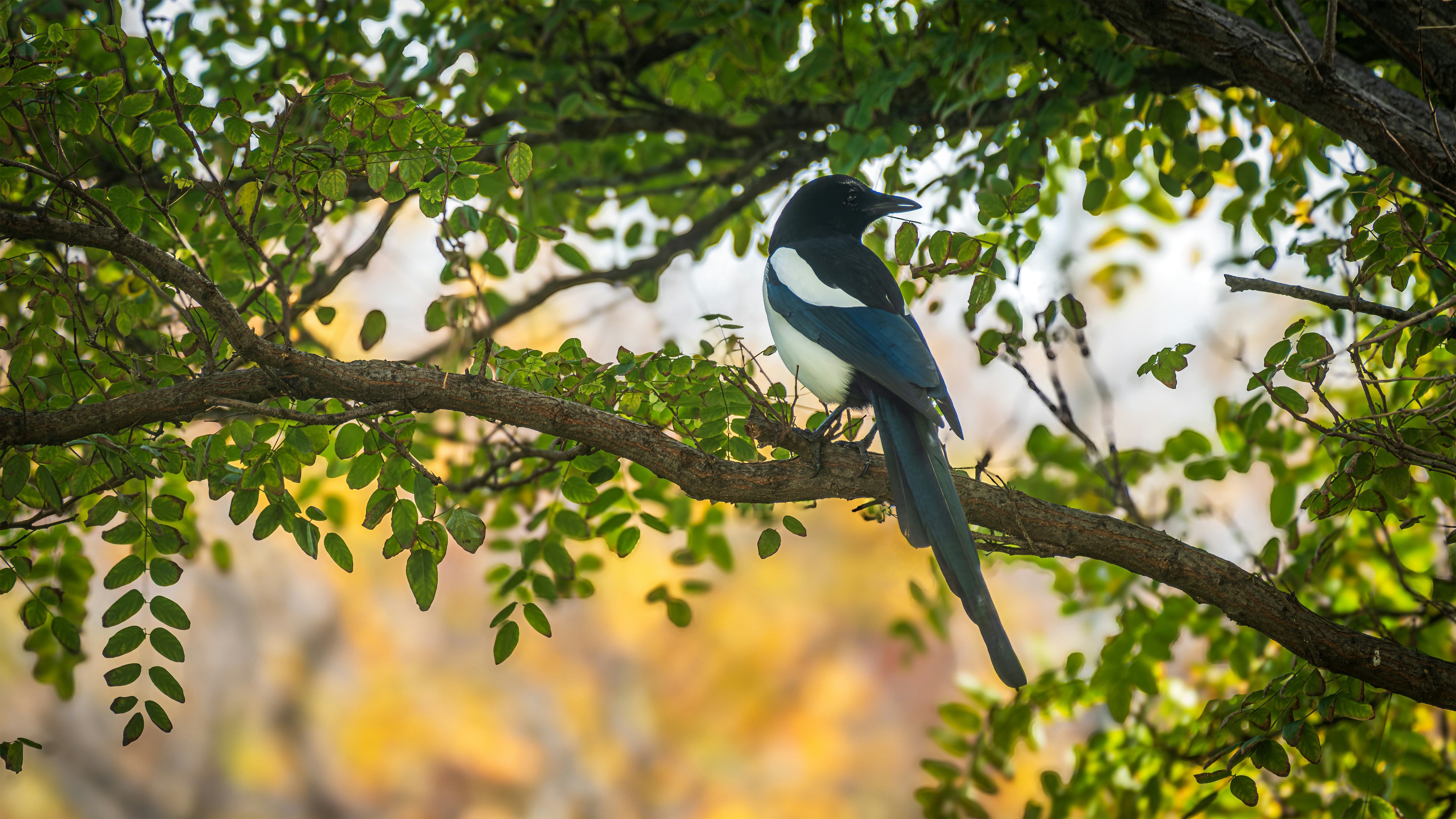 Photo by graphis_photos