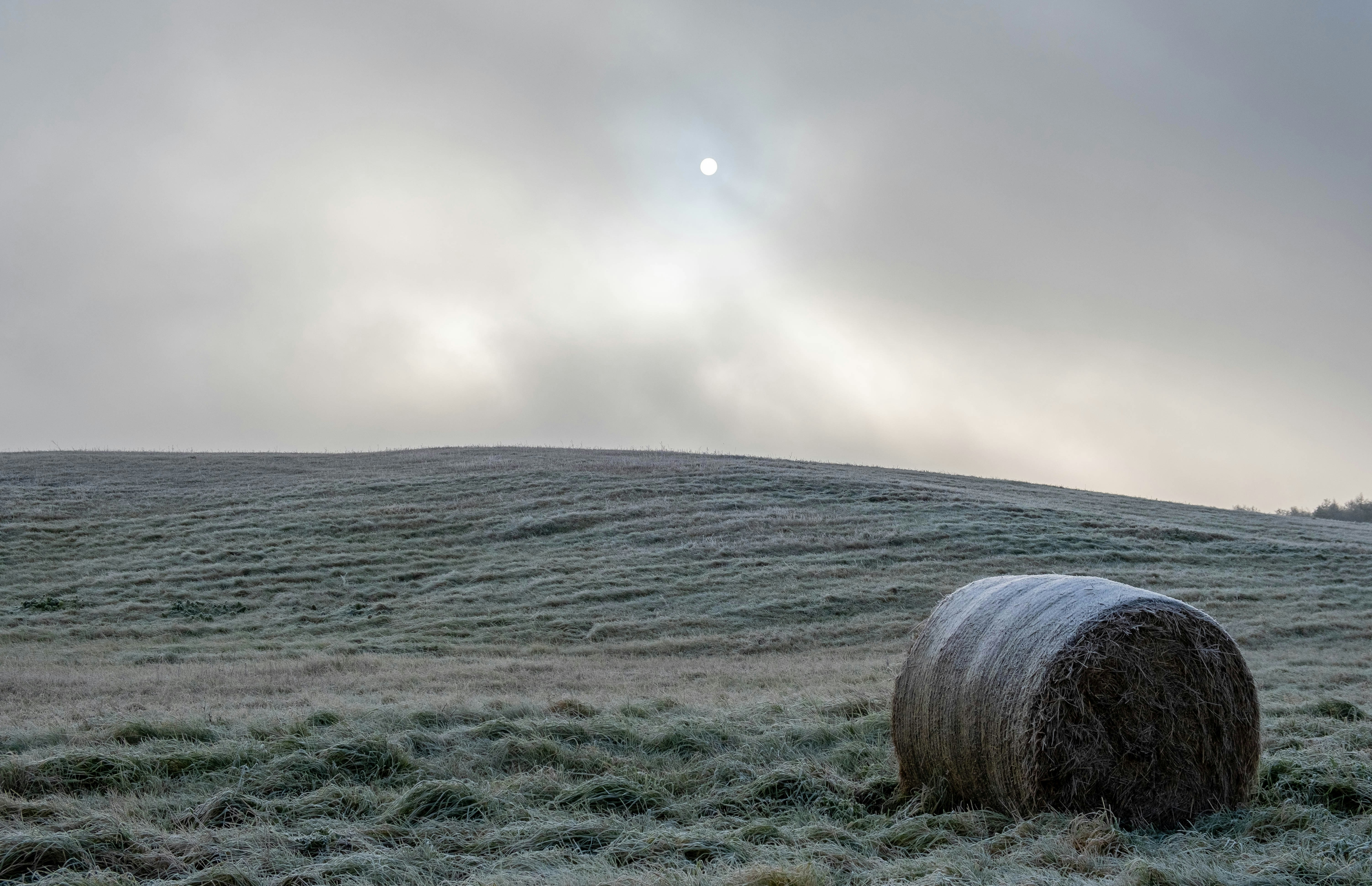 Hay bale in a frosty field under hazy sun.