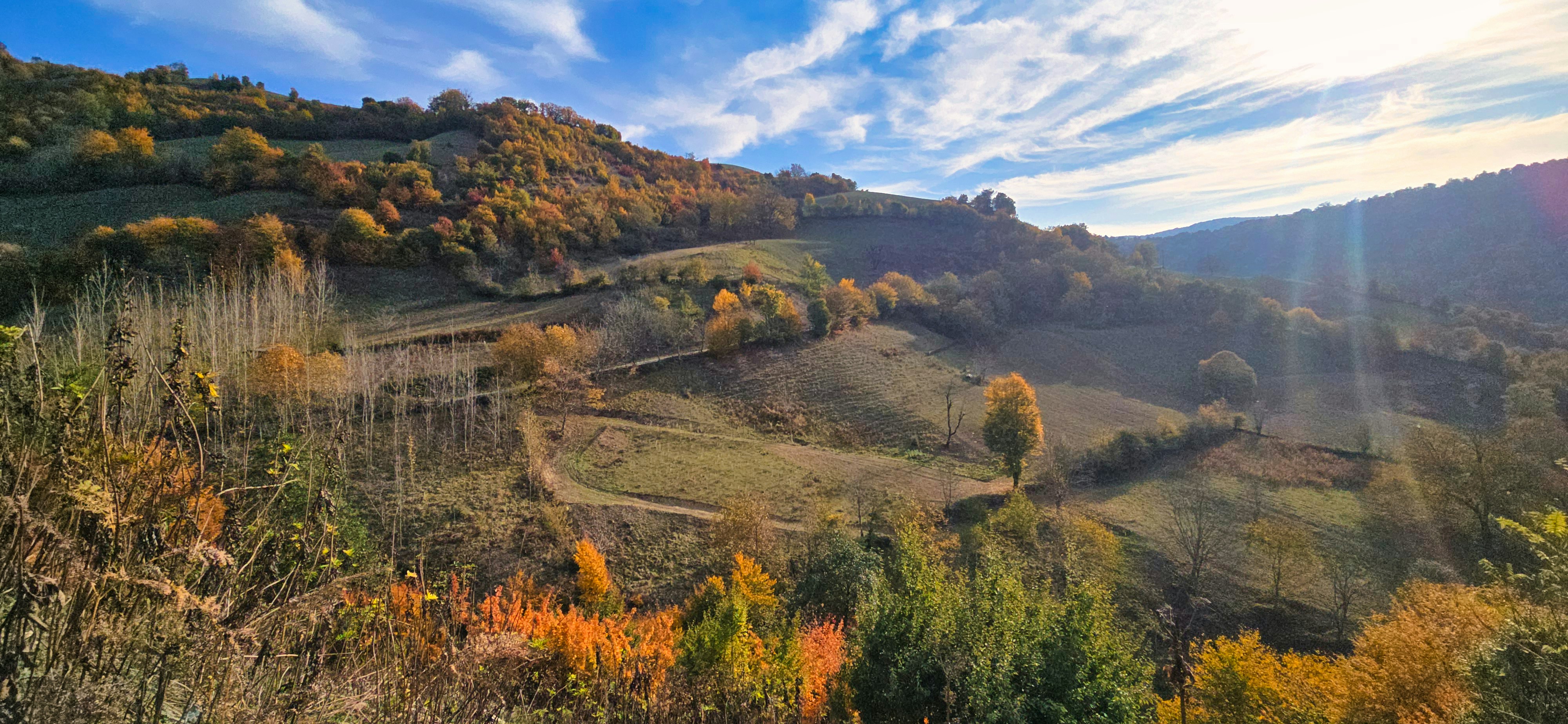 Photo by aliarjmandi
