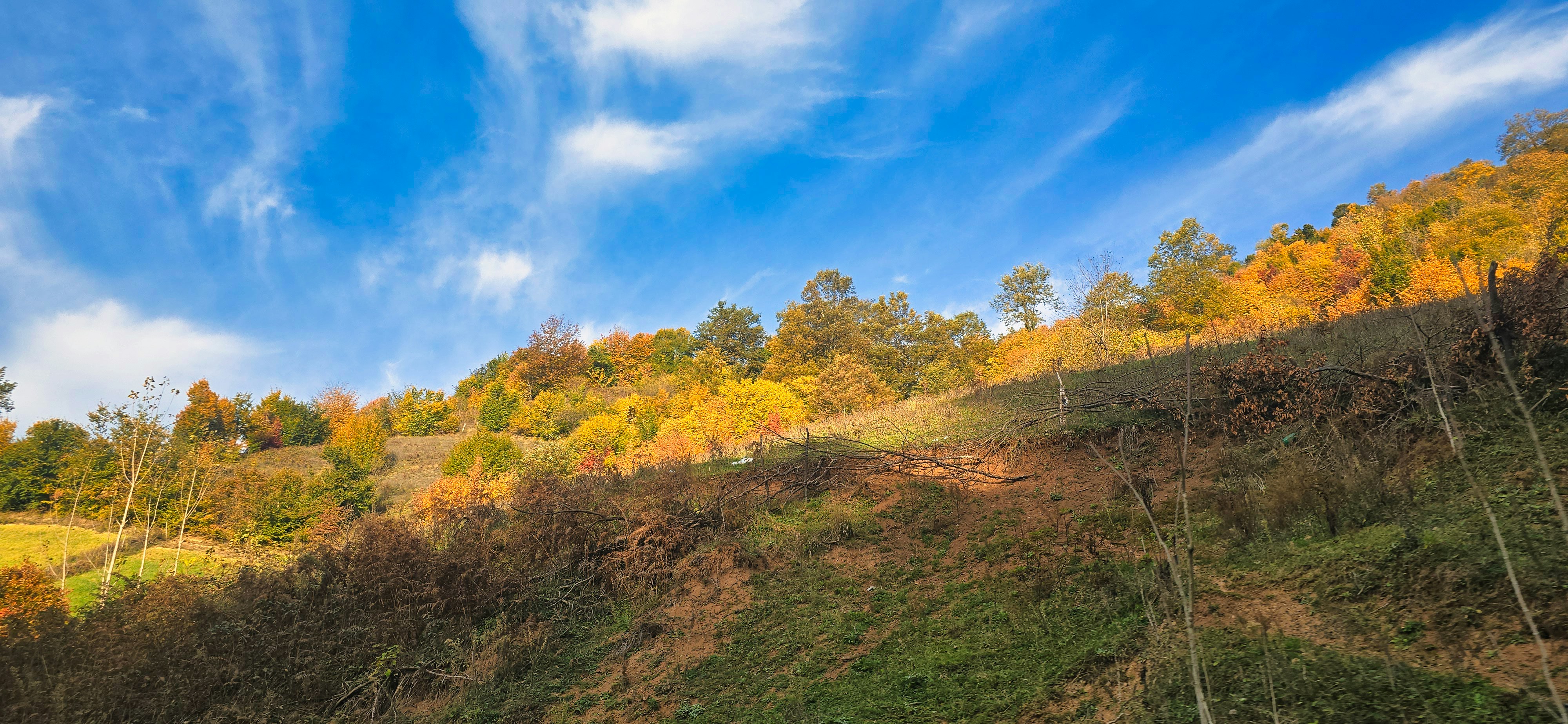 Photo by aliarjmandi