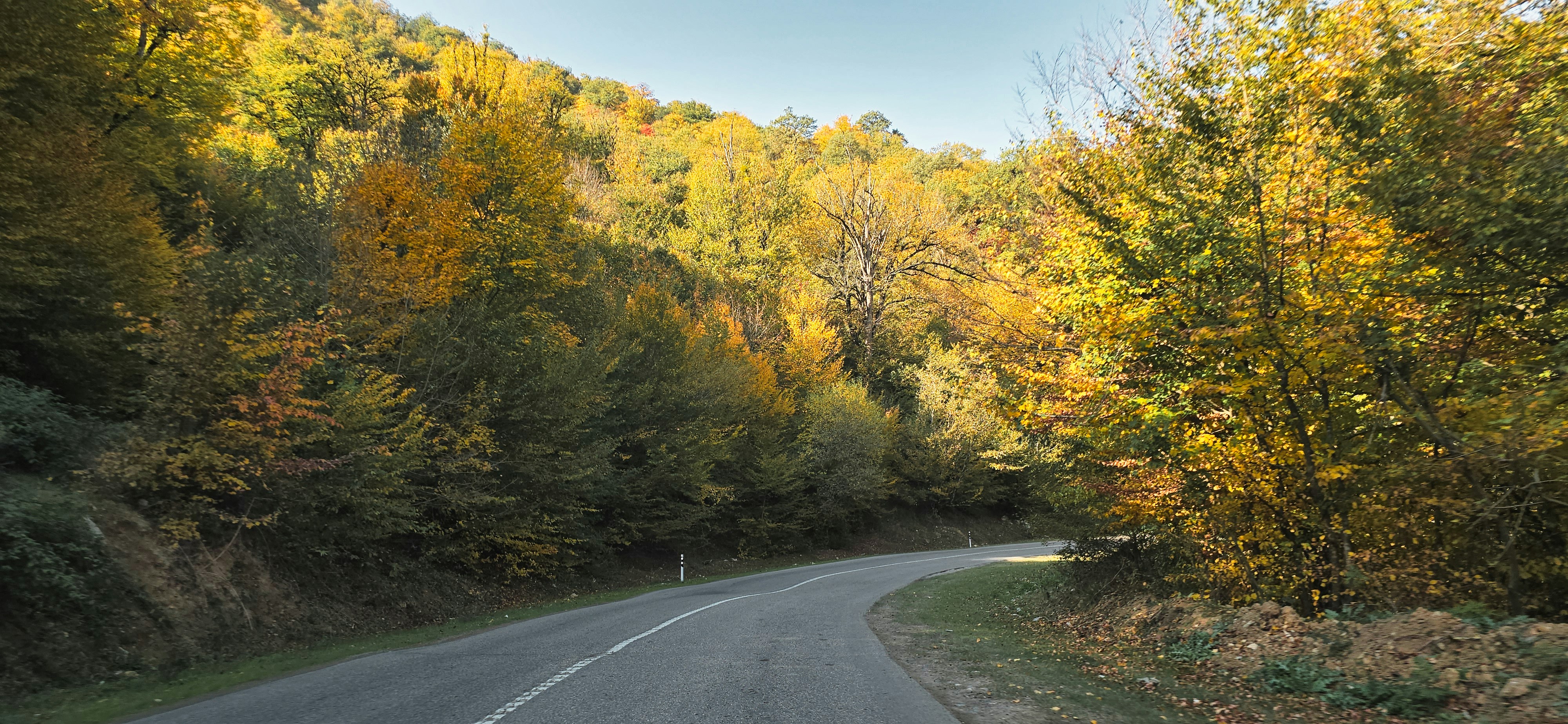 A winding road through autumn forest with yellow leaves