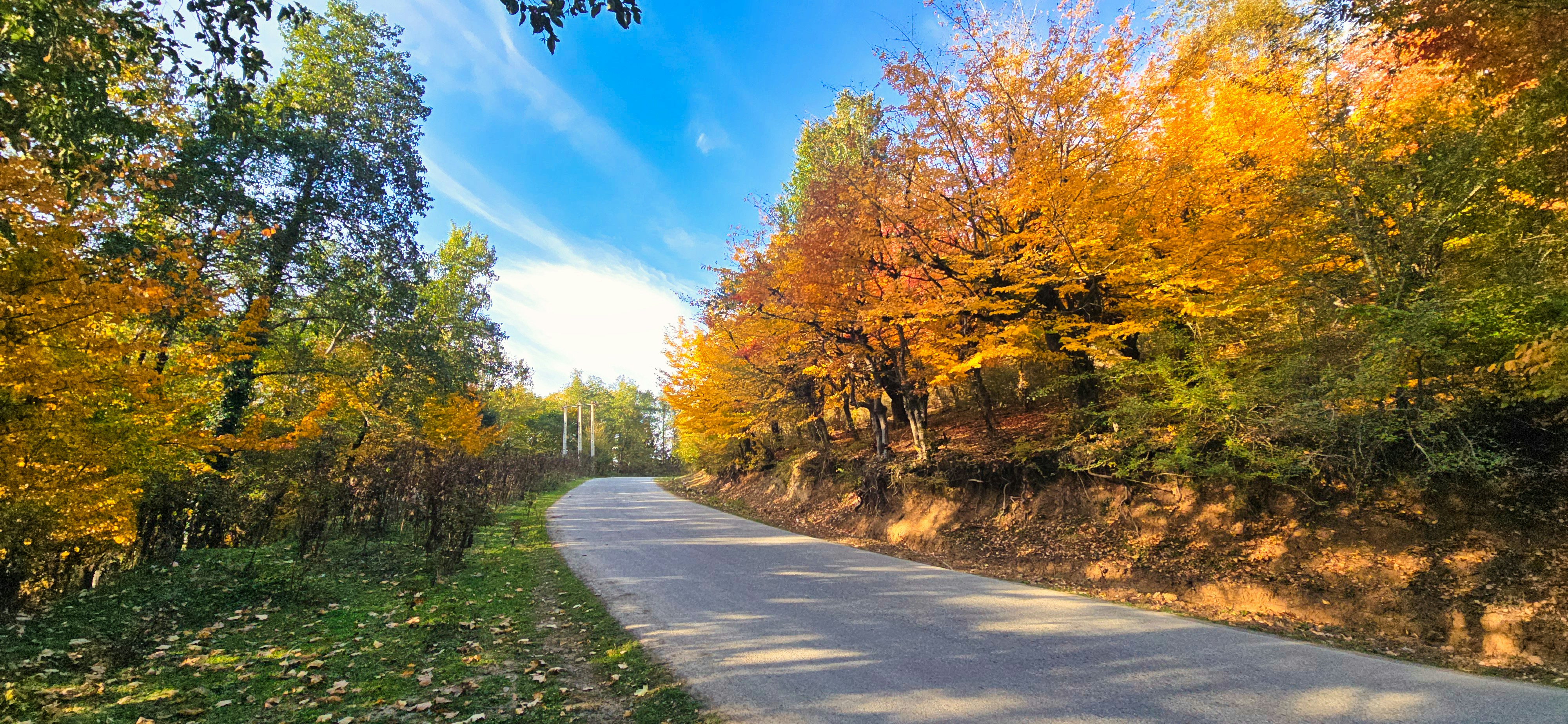 Photo by aliarjmandi