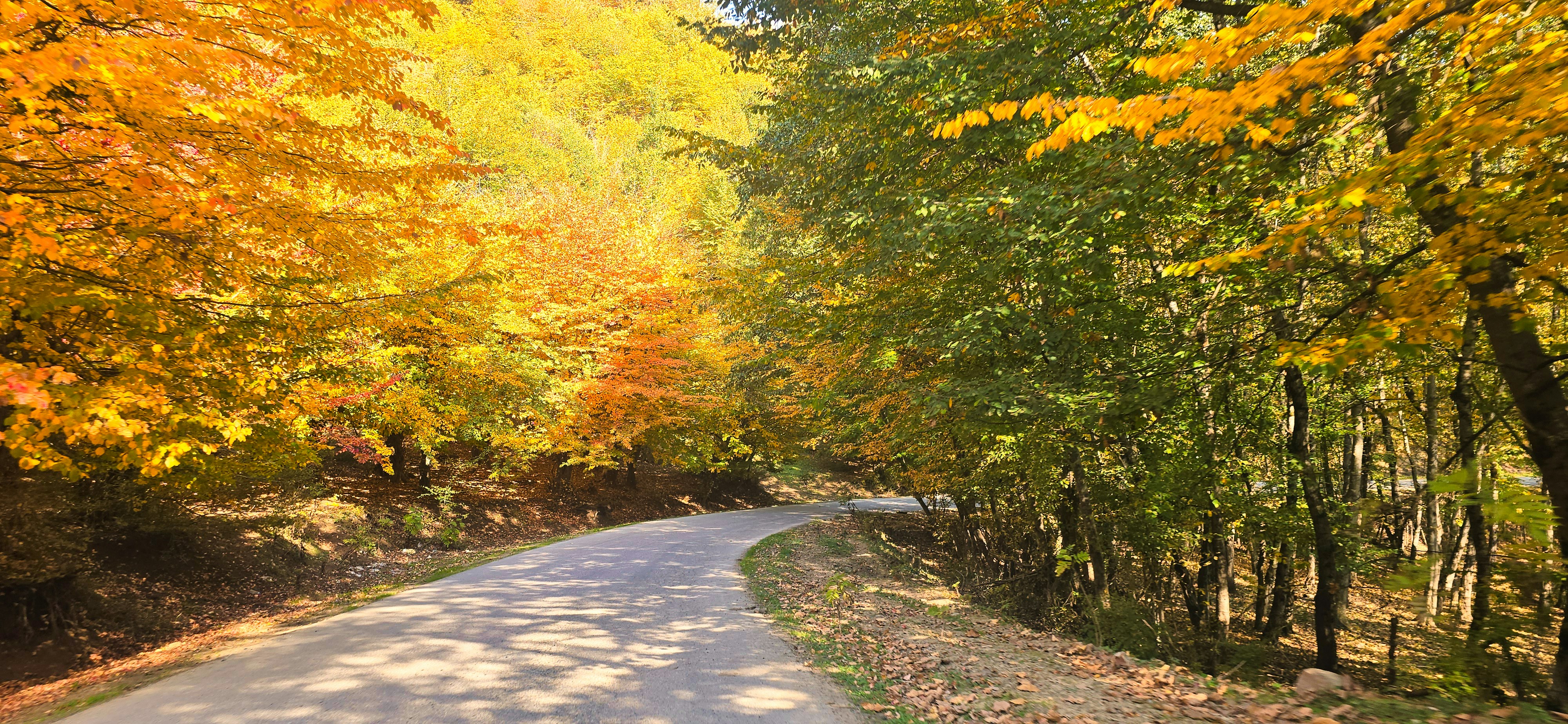 Photo by aliarjmandi