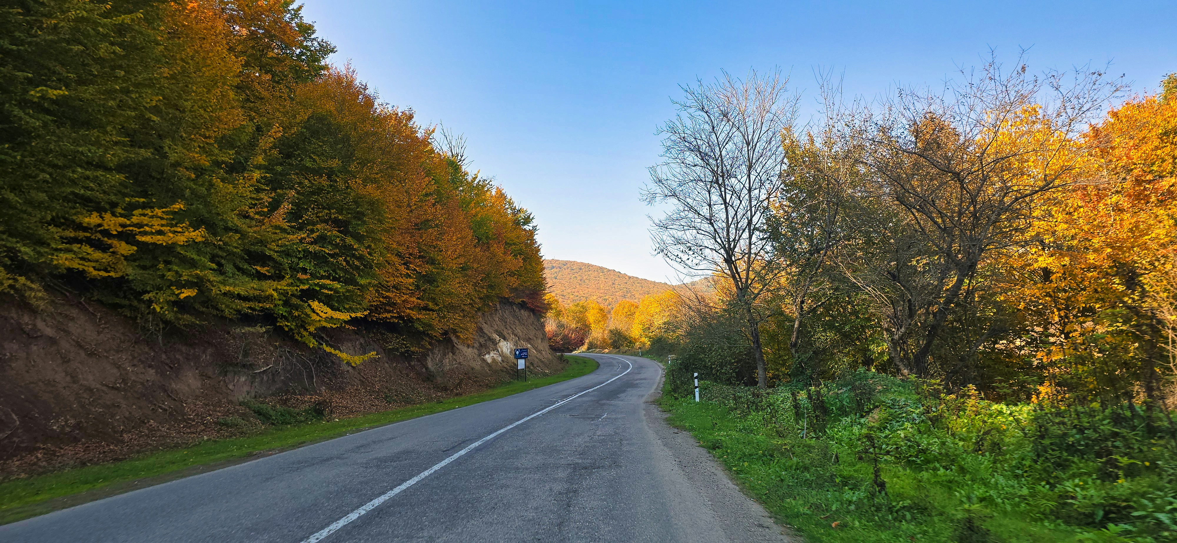 Winding road through autumn forest with colorful trees