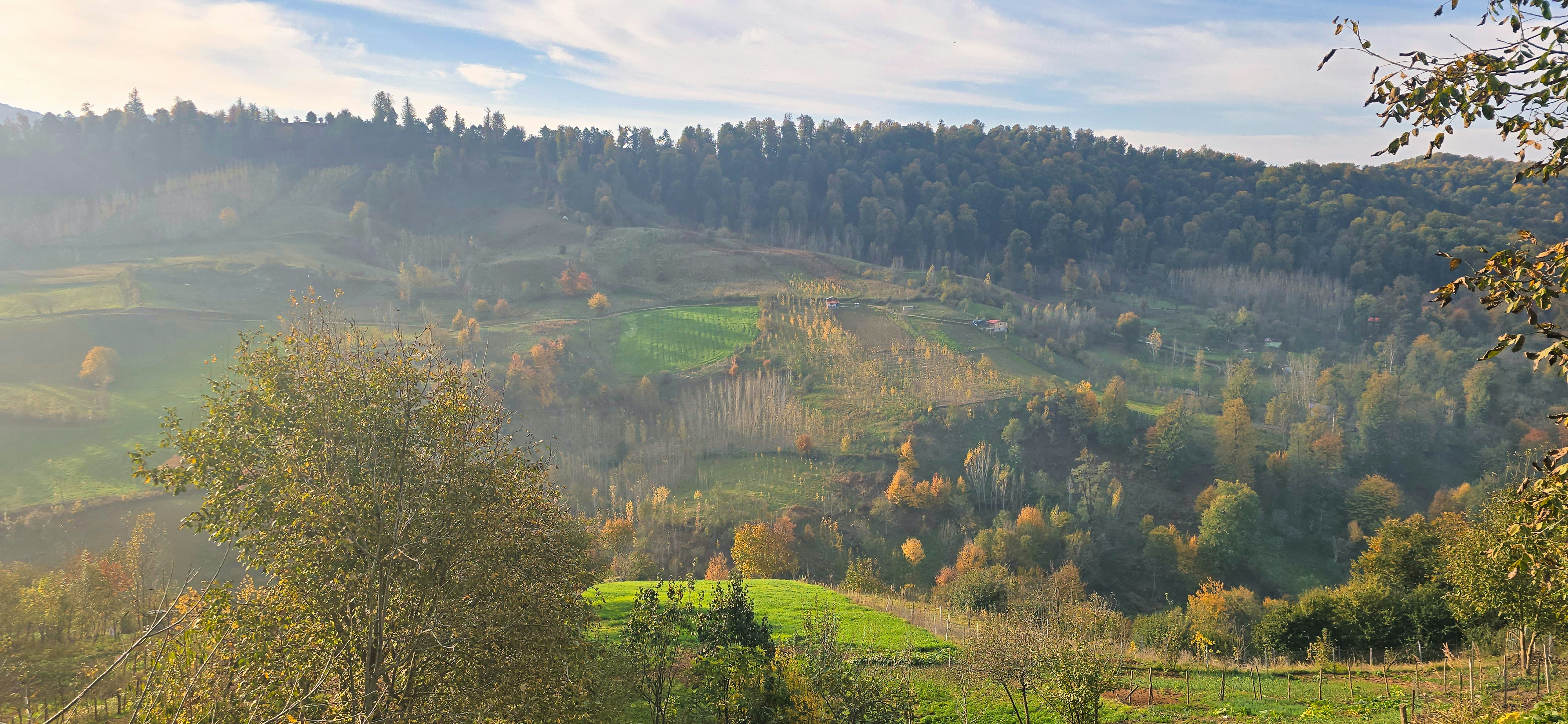 Photo by aliarjmandi