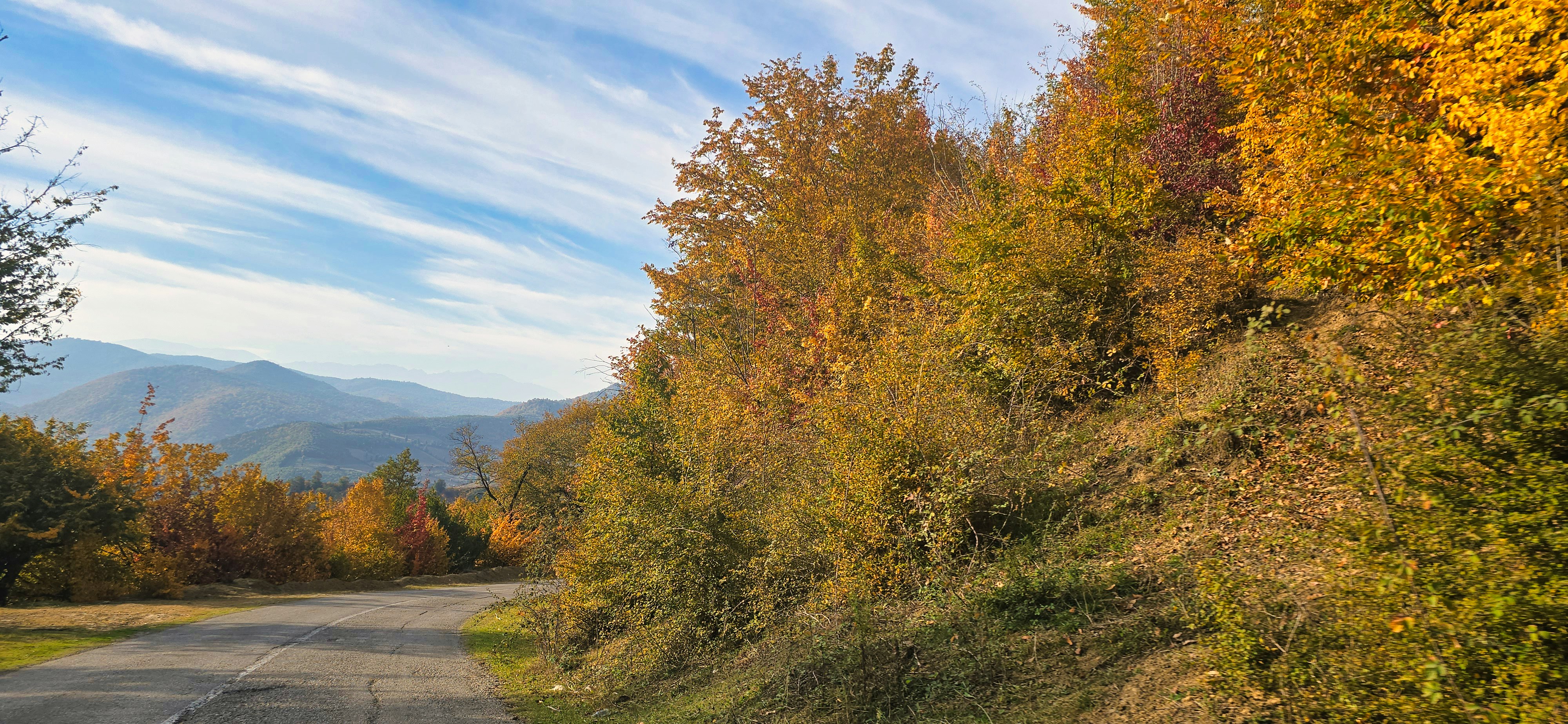 Autumn trees line a winding road with mountains beyond.