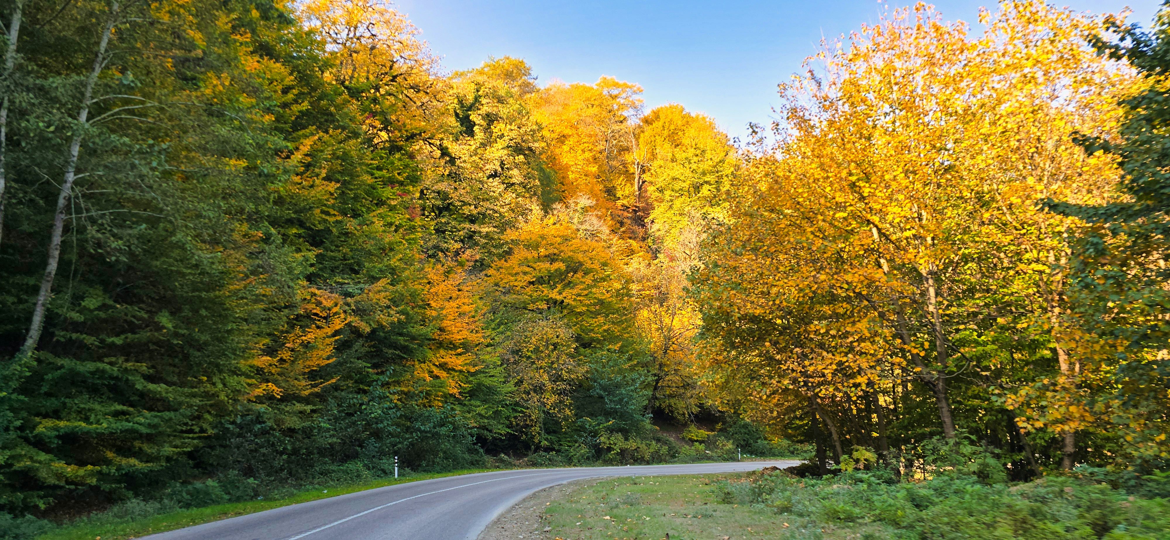 Photo by aliarjmandi