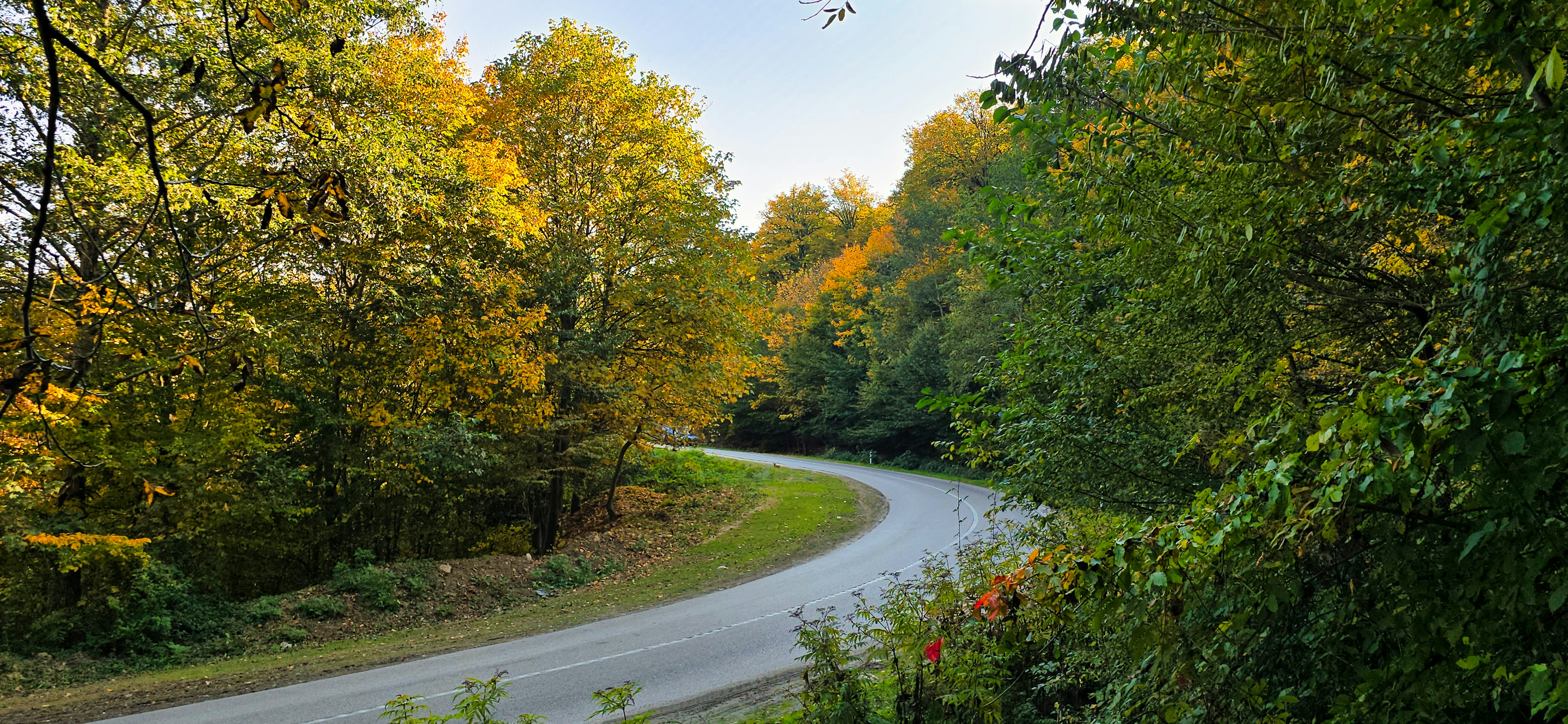 Photo by aliarjmandi