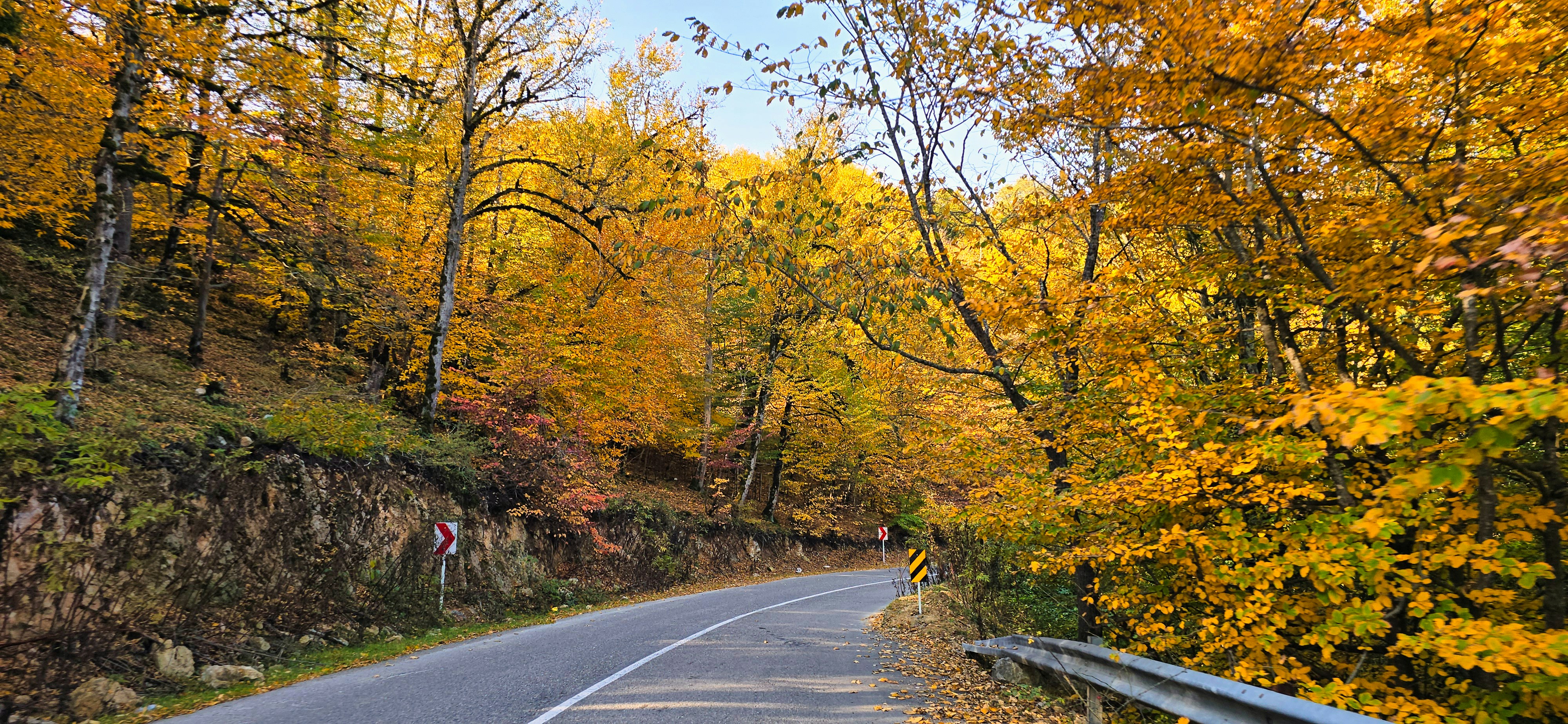 Photo by aliarjmandi