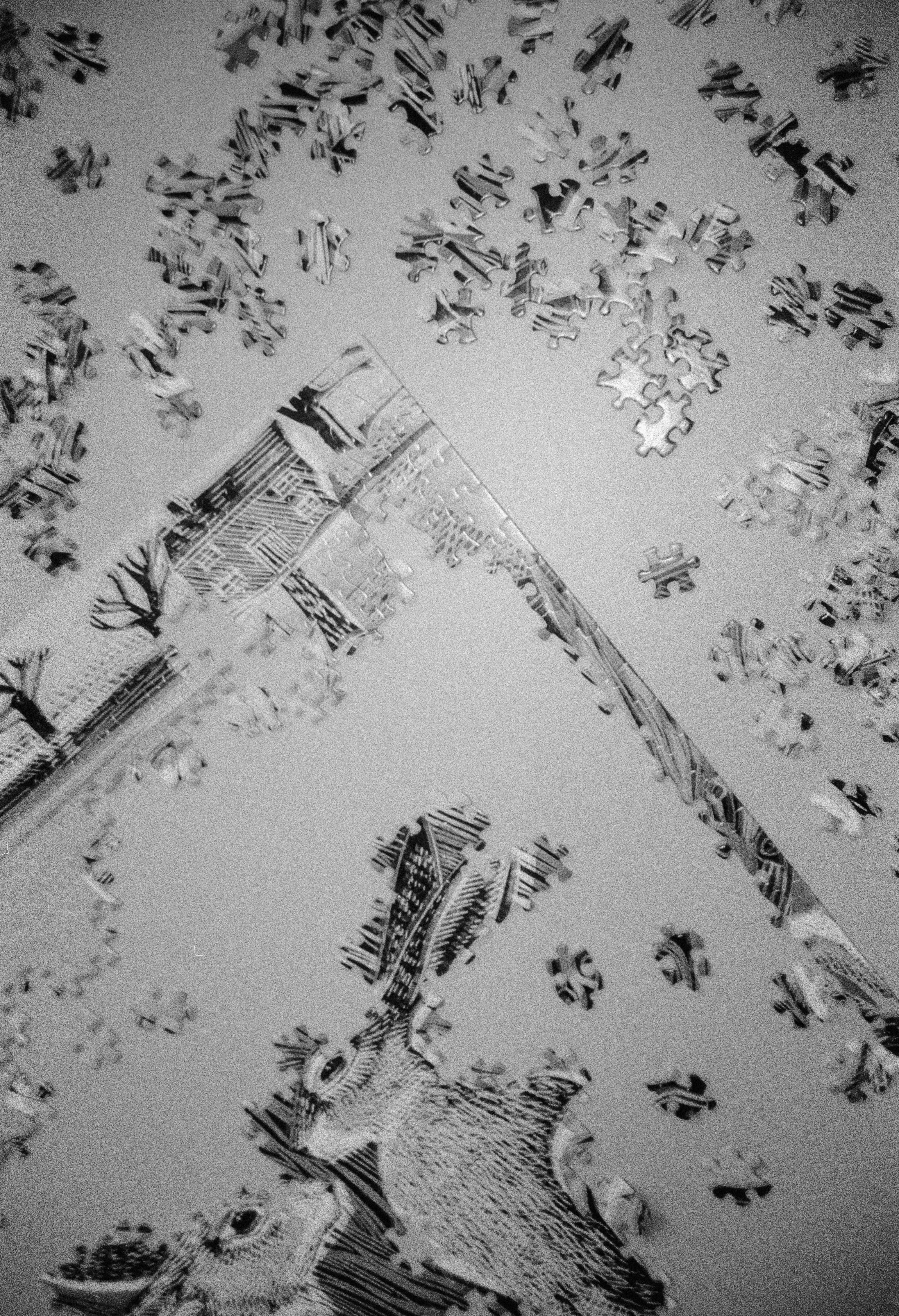 Scattered puzzle pieces and a partially assembled image.