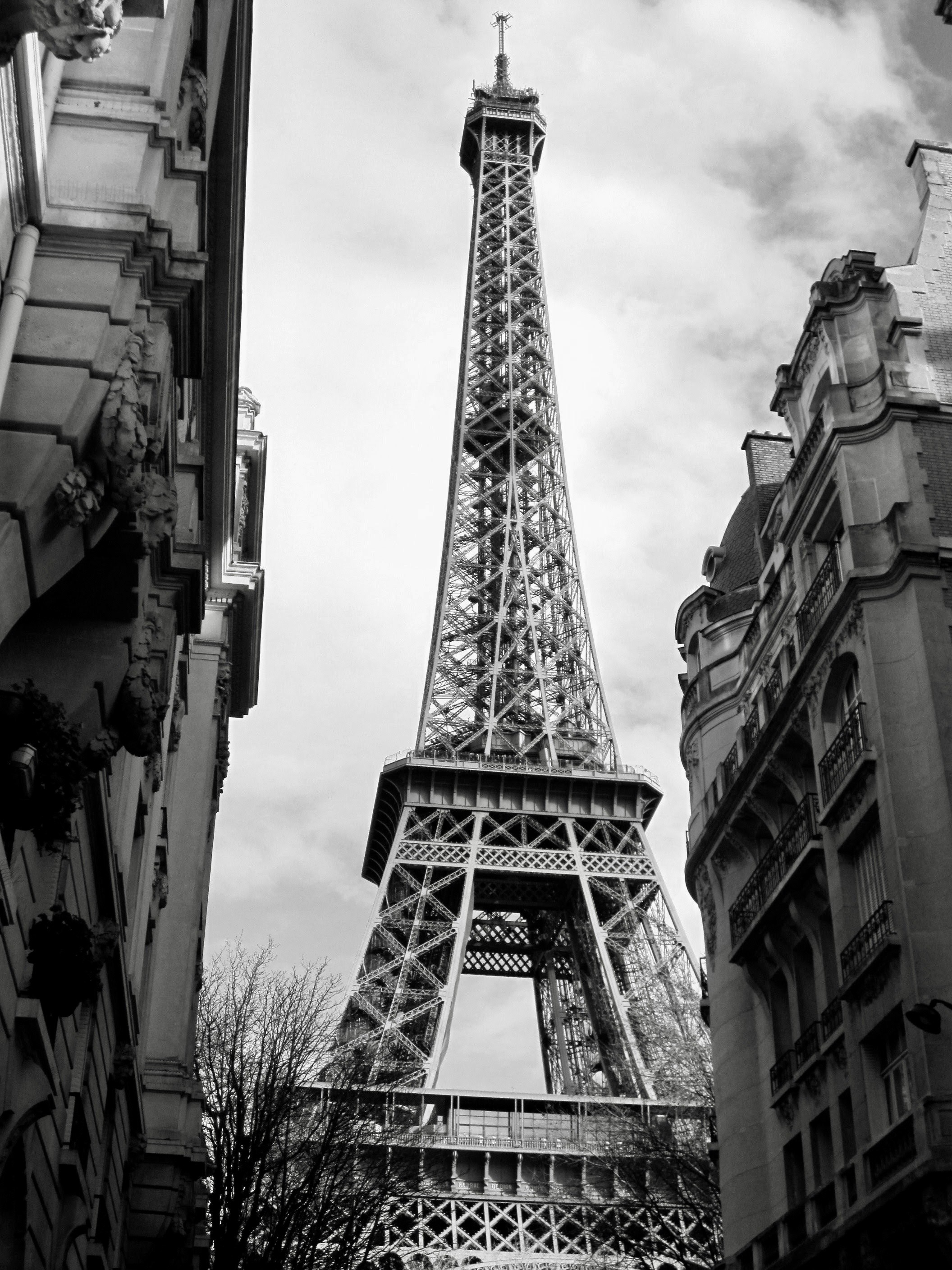 Photo by domenicosavoia