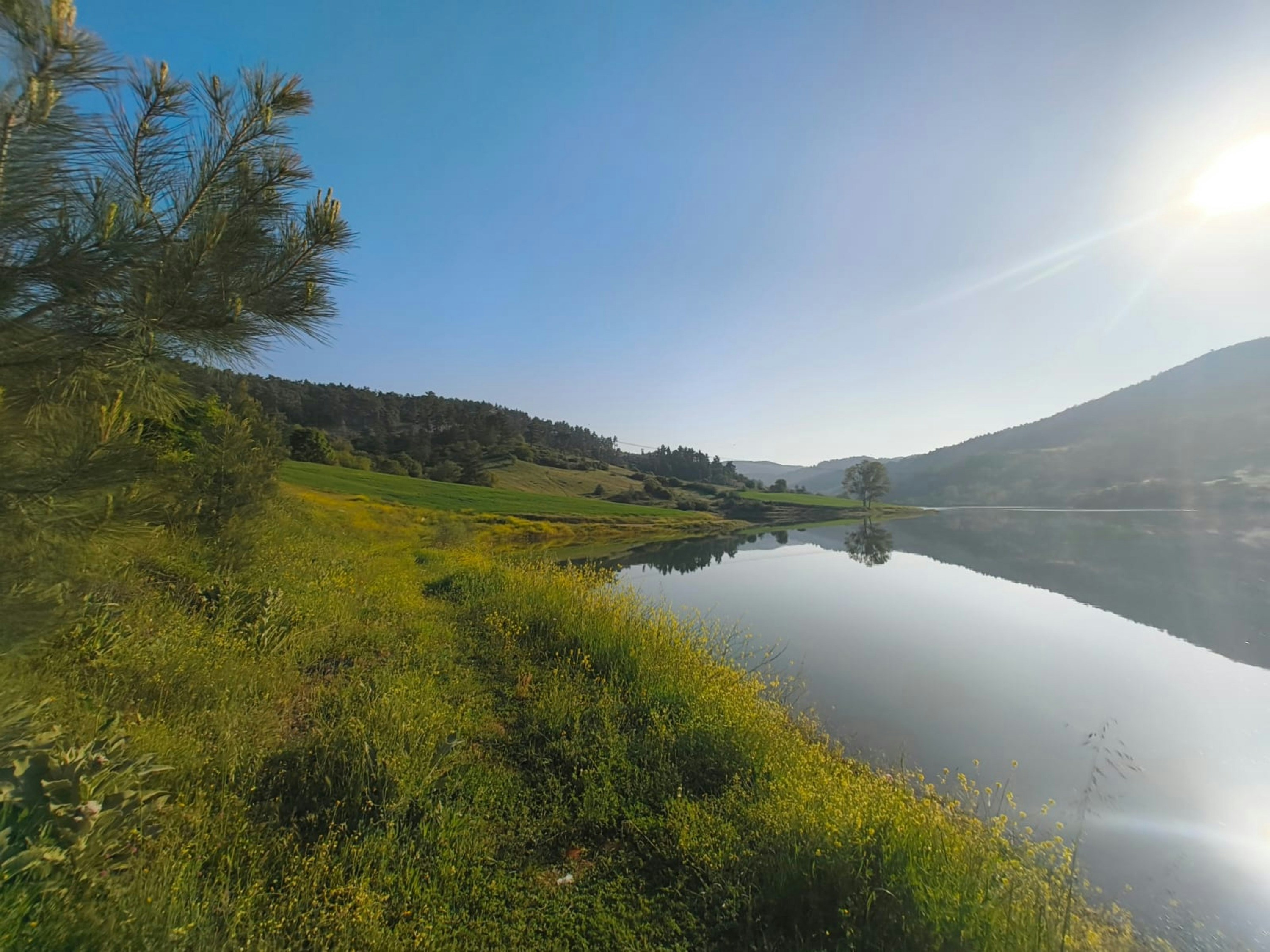 Photo by pulchra_prospectus