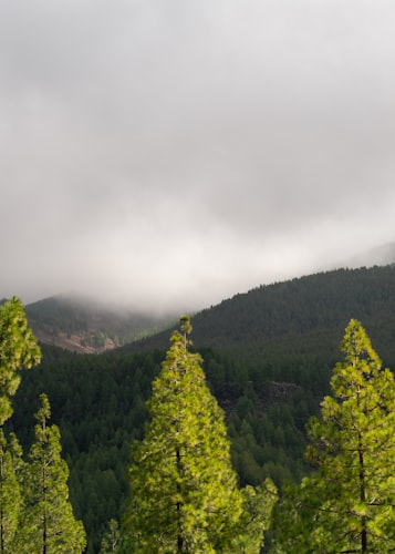 Global warming and the environmental challenge