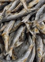 A pile of dried small fish