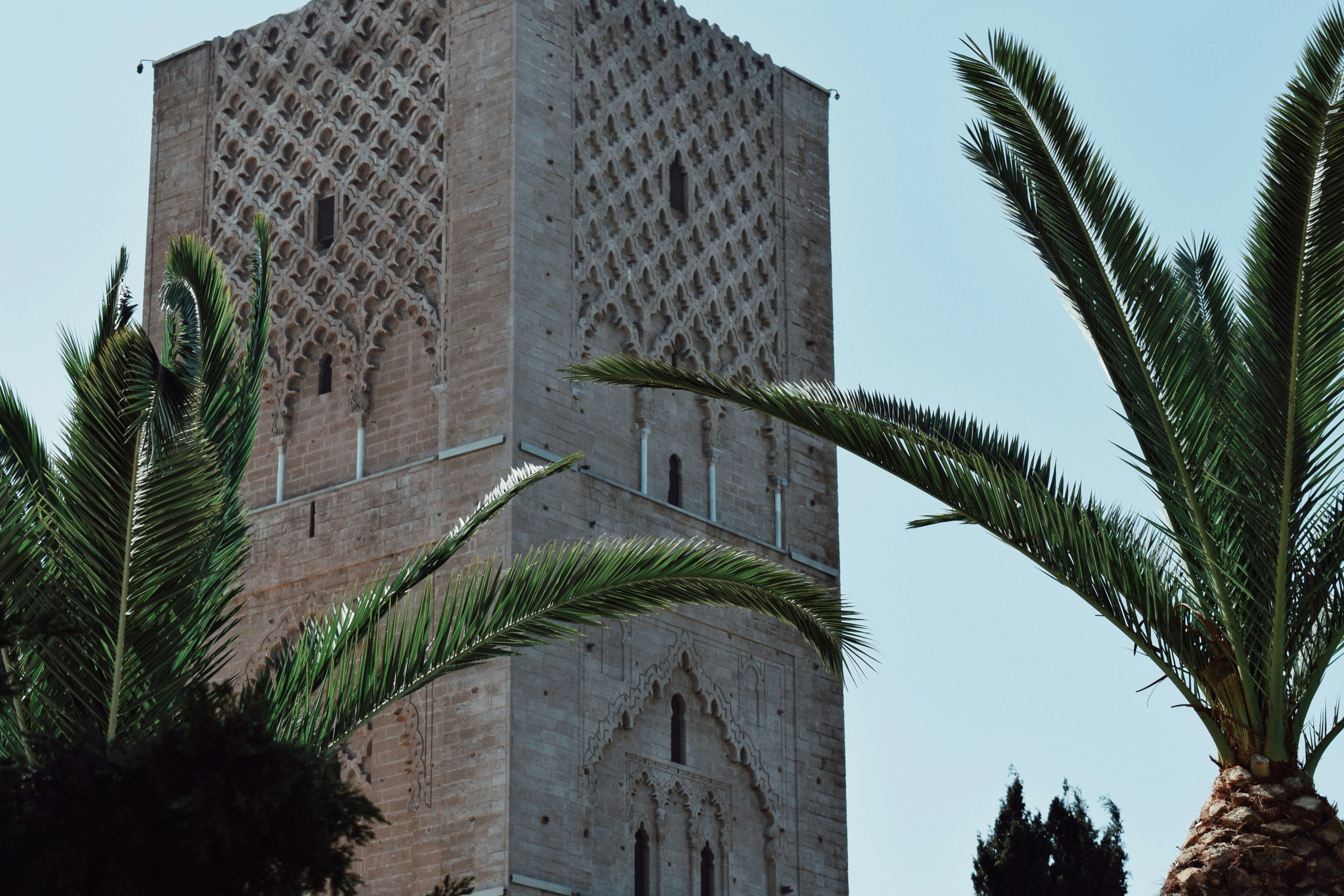 Hassan tower with palm trees against blue sky