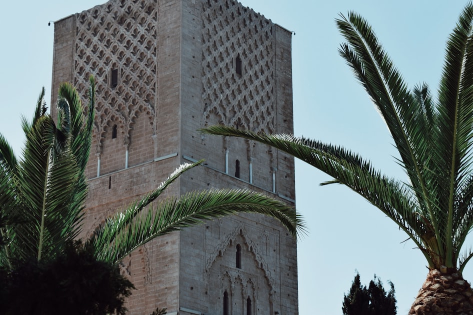 Tour Hassan avec palmiers sous un ciel bleu à Rabat, capitale du Maroc