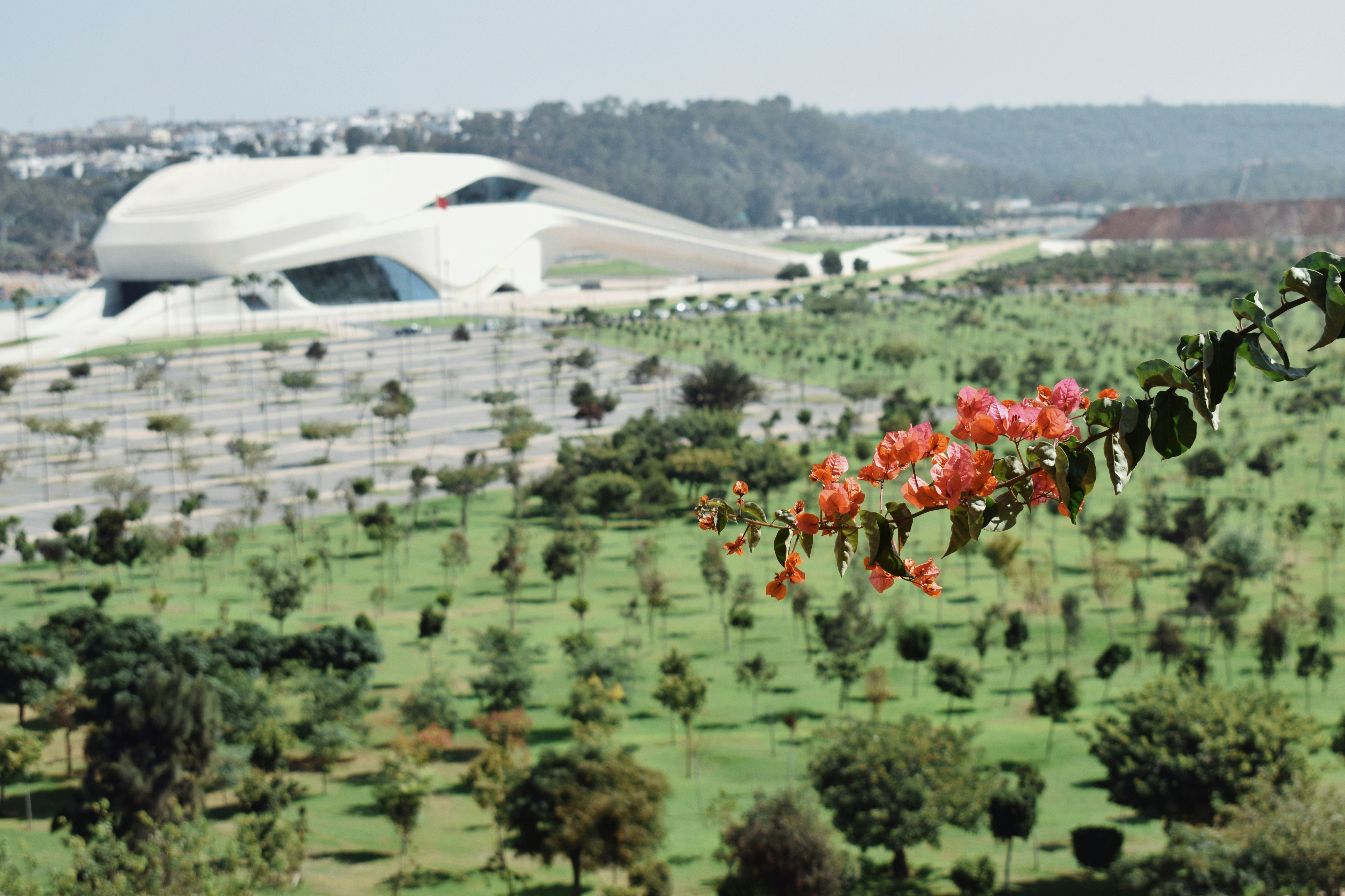 Modern building on a green hillside with flowers