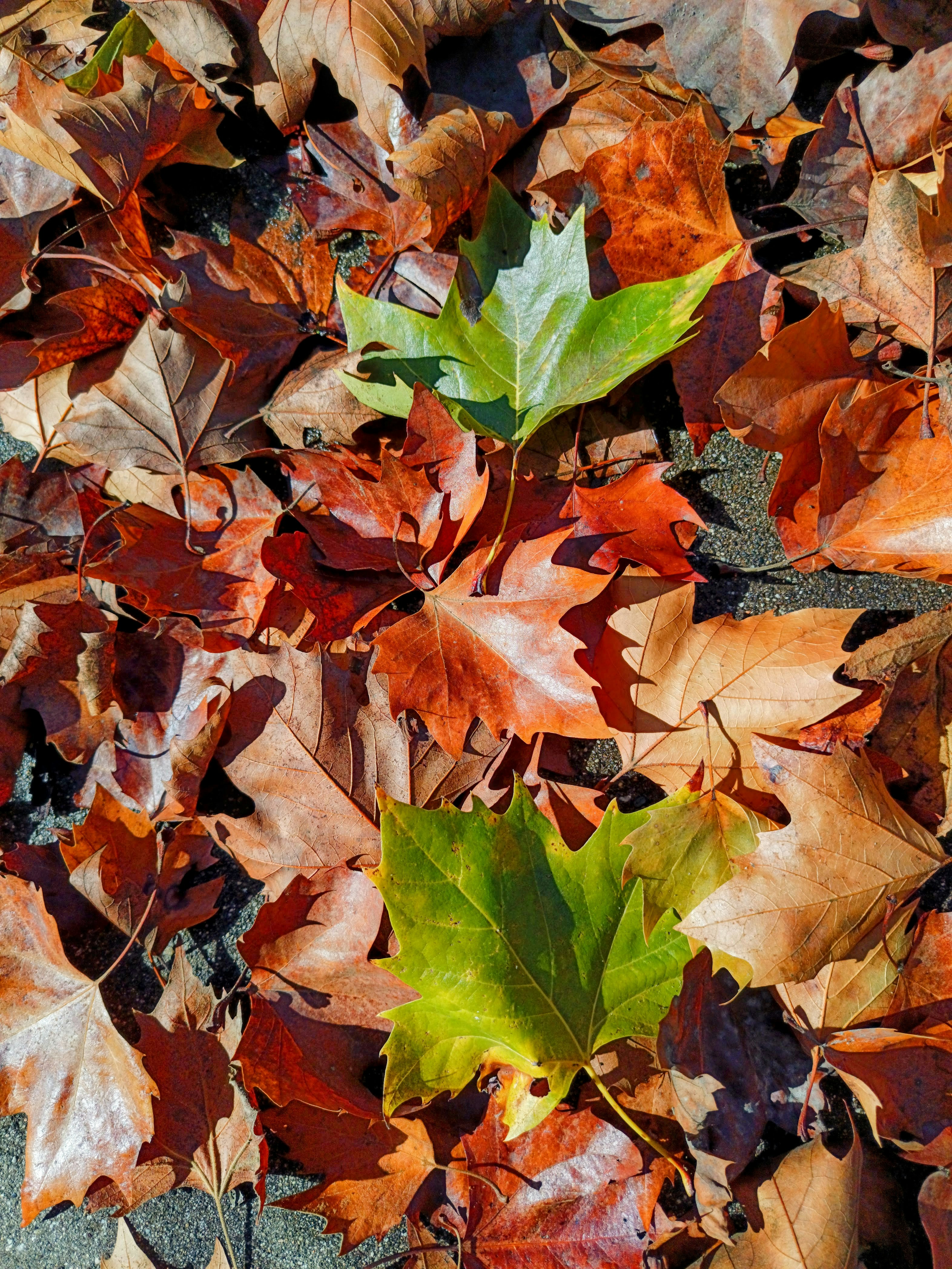 Photo by manifeststefany