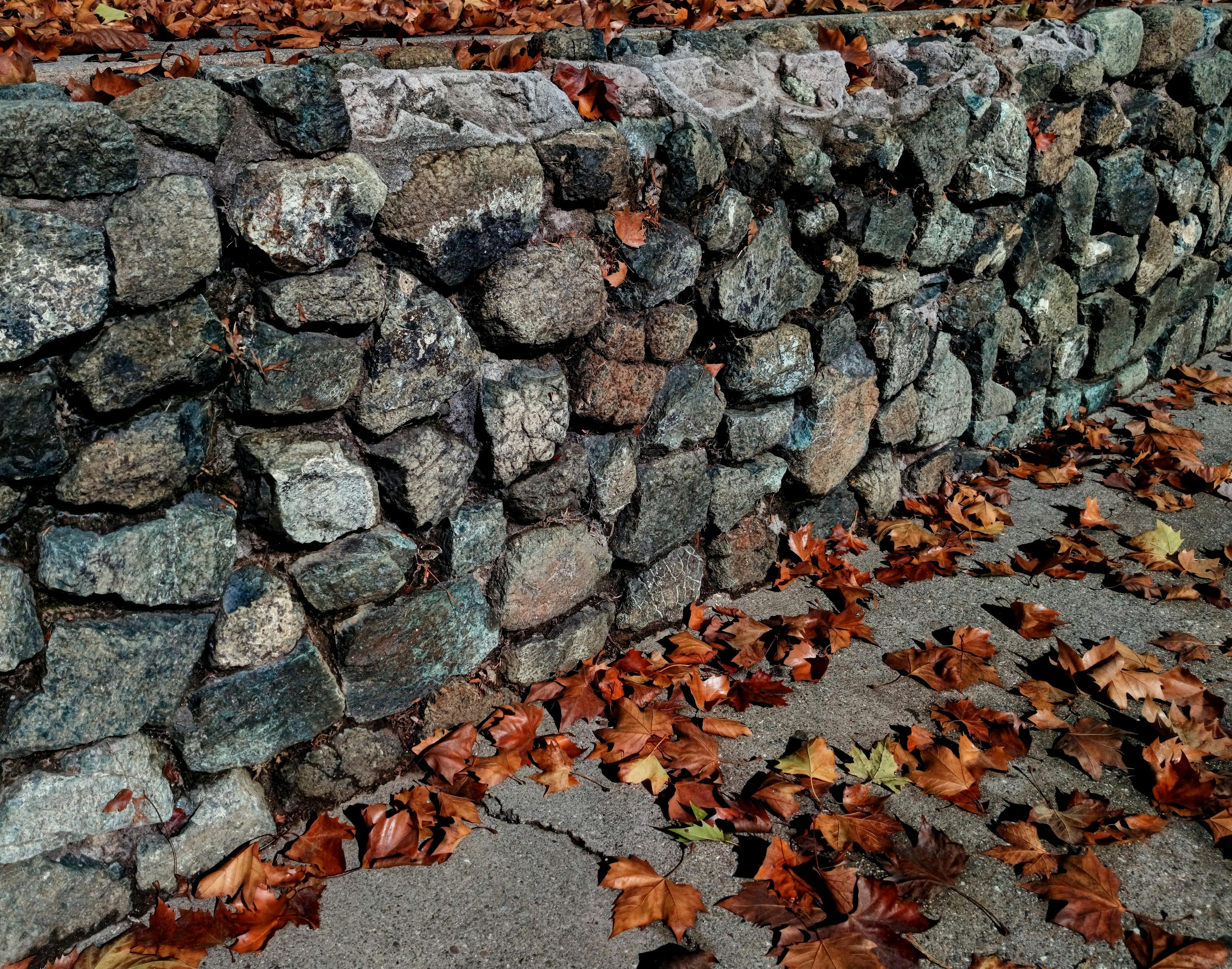 Stone wall with fallen autumn leaves on ground