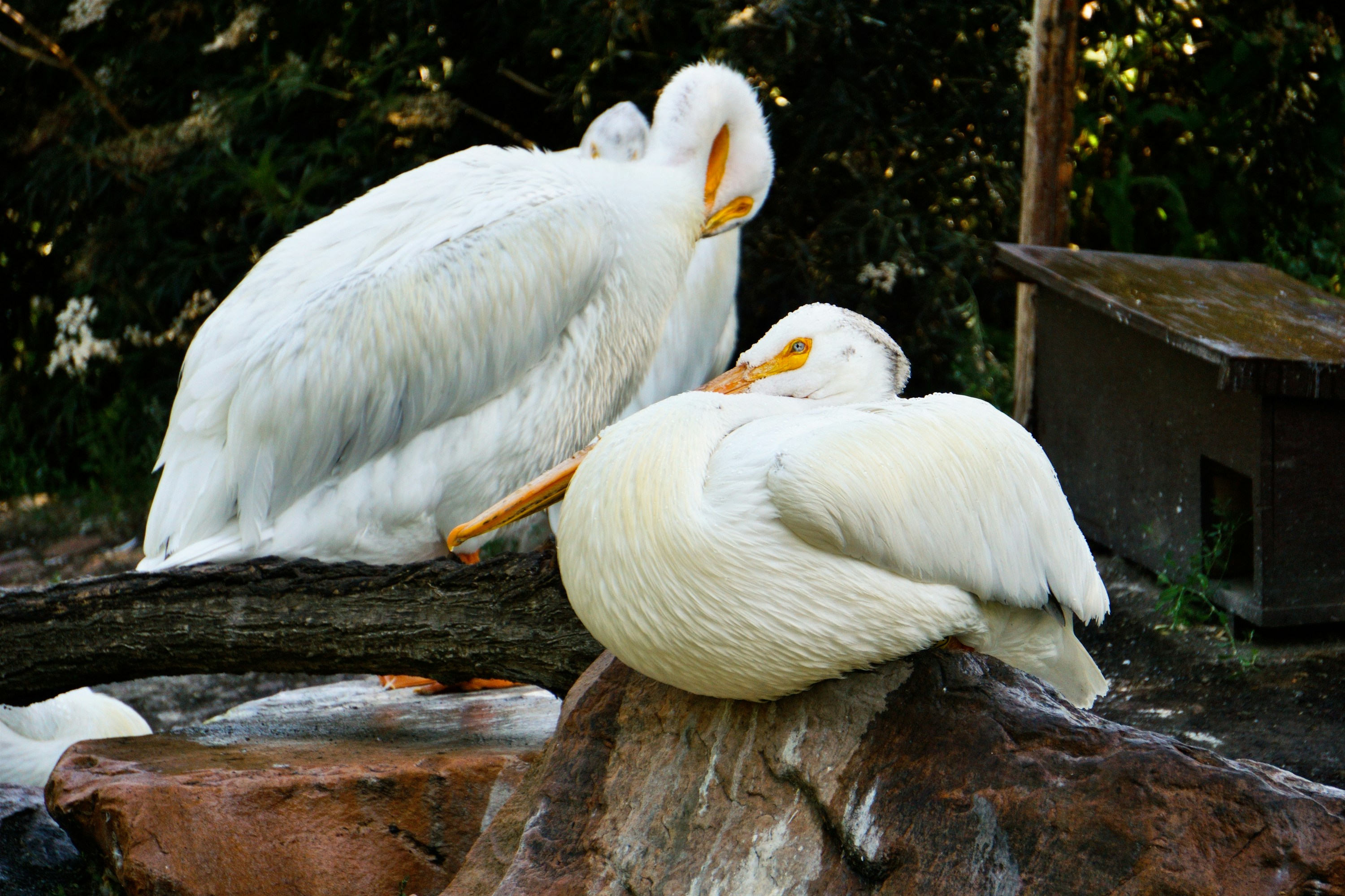 Photo by lithiumreflections