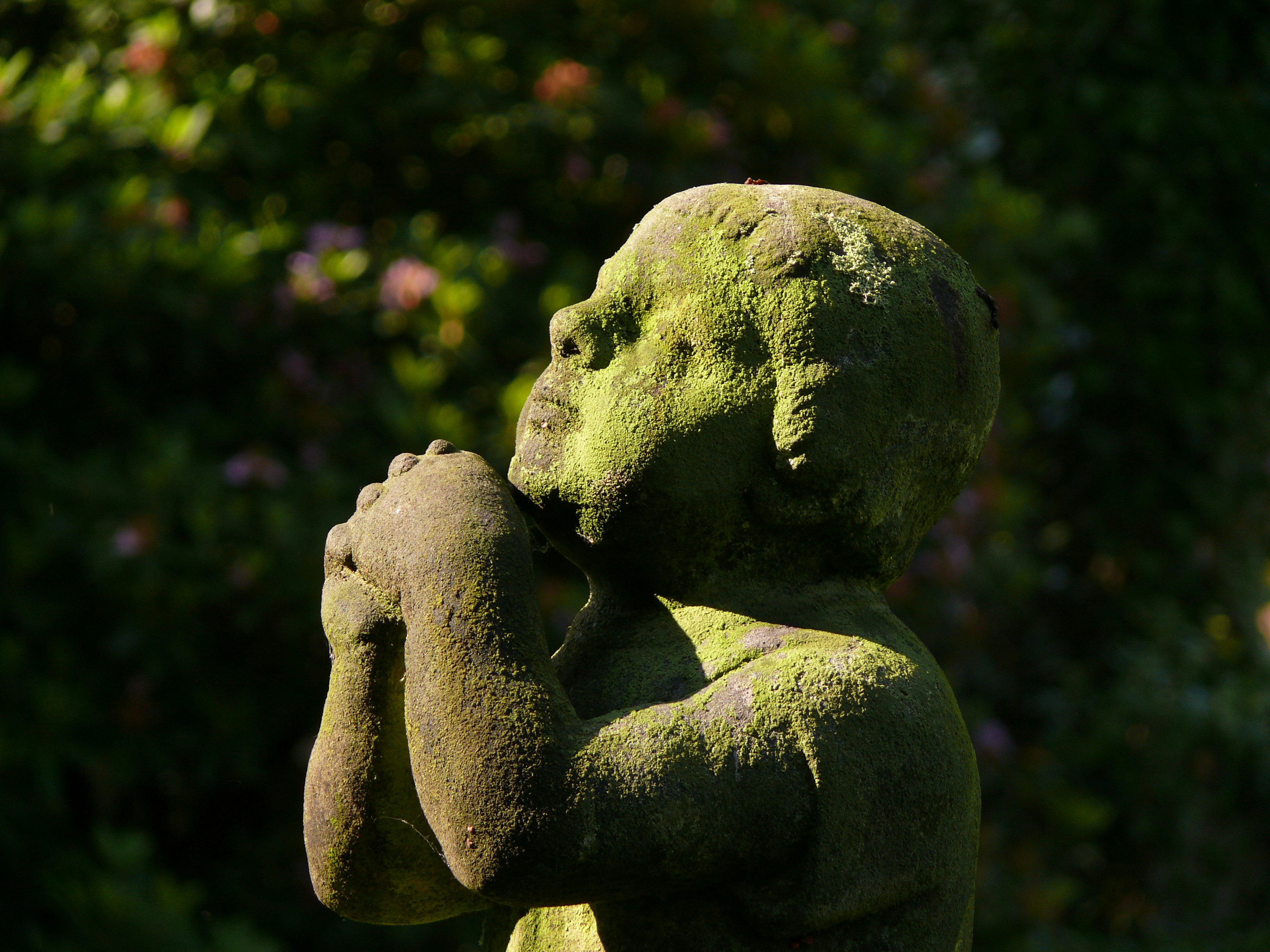 Photo by nikodemus777