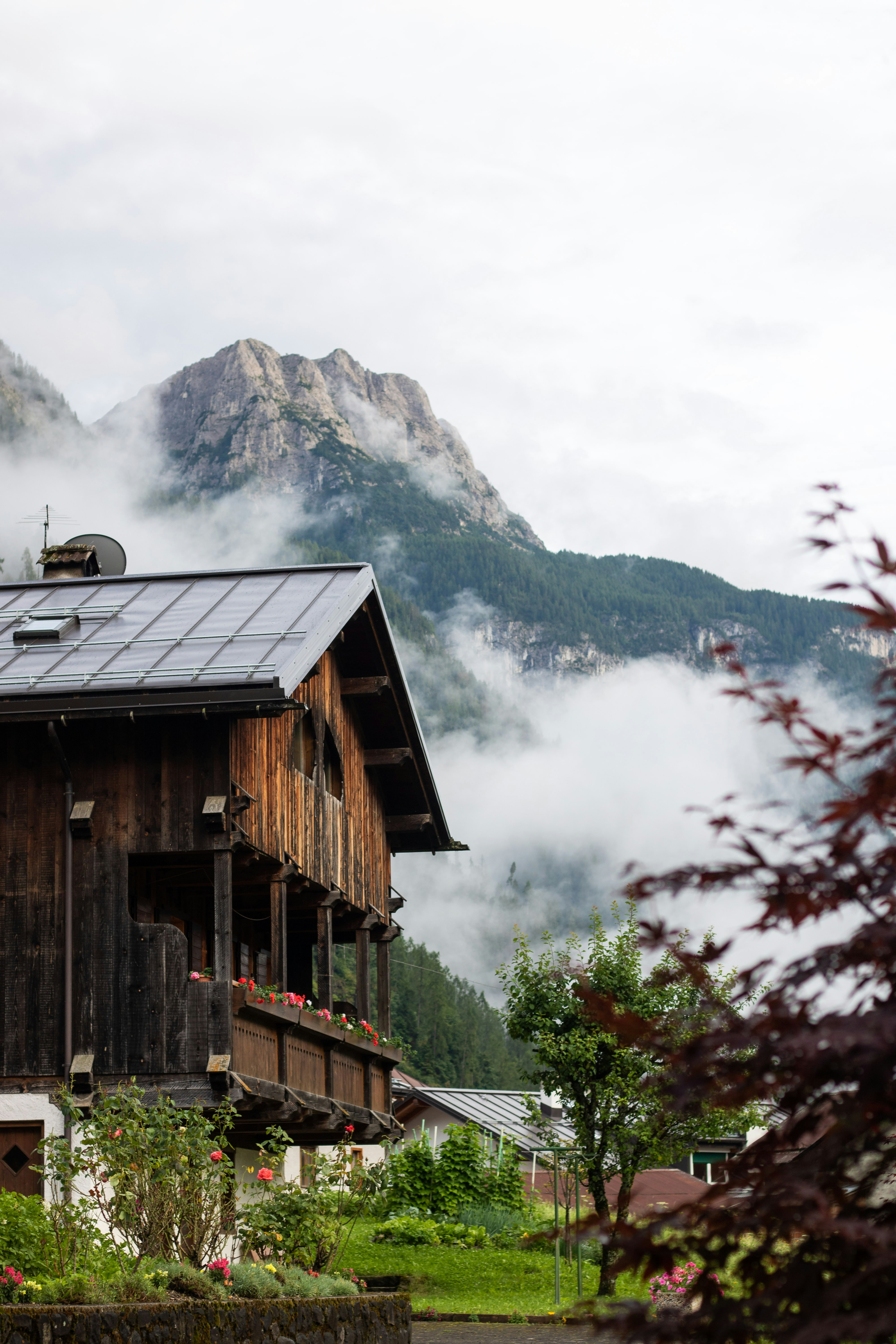 Photo by angelbalashev