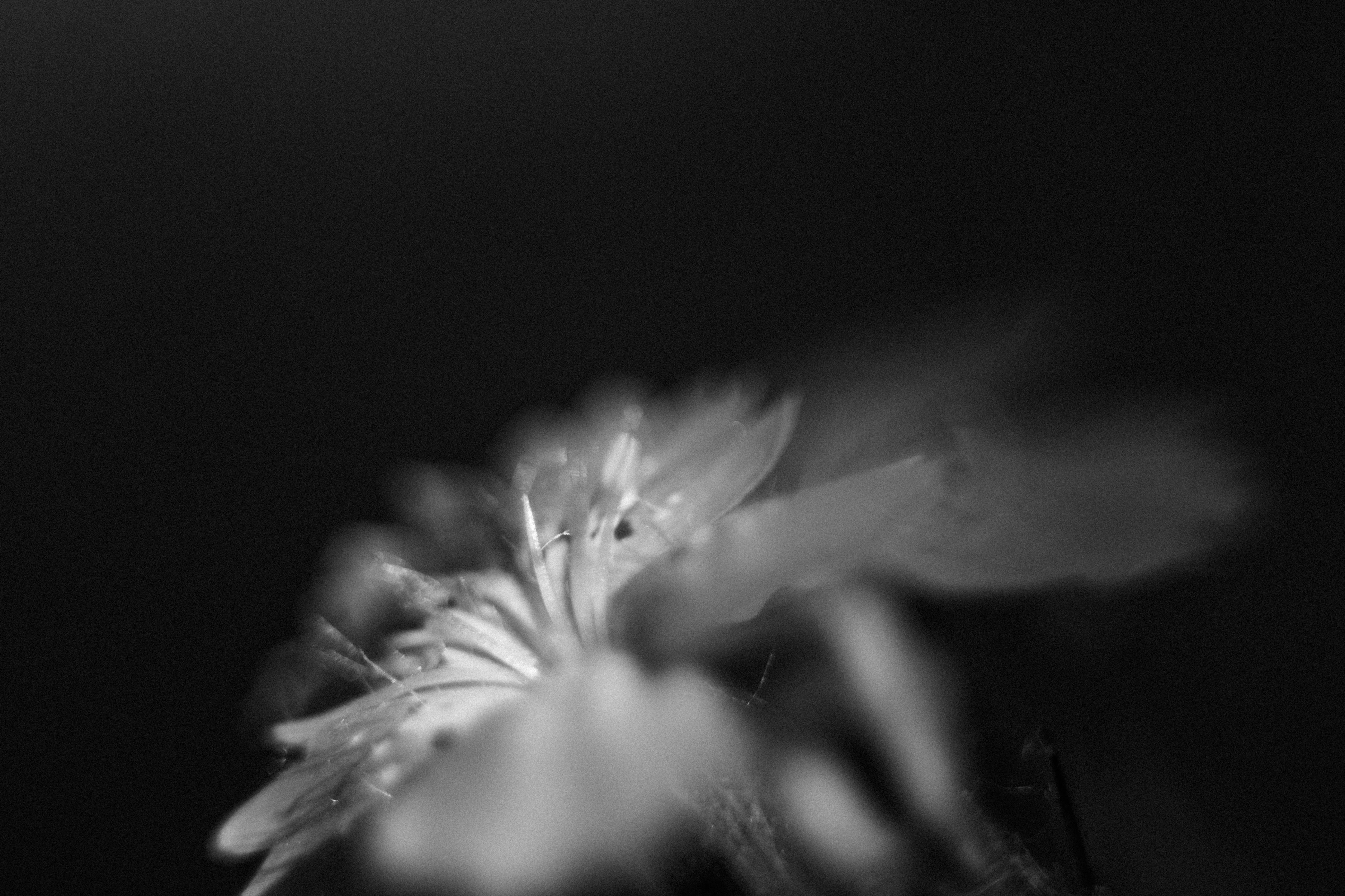 Photo by angelbalashev