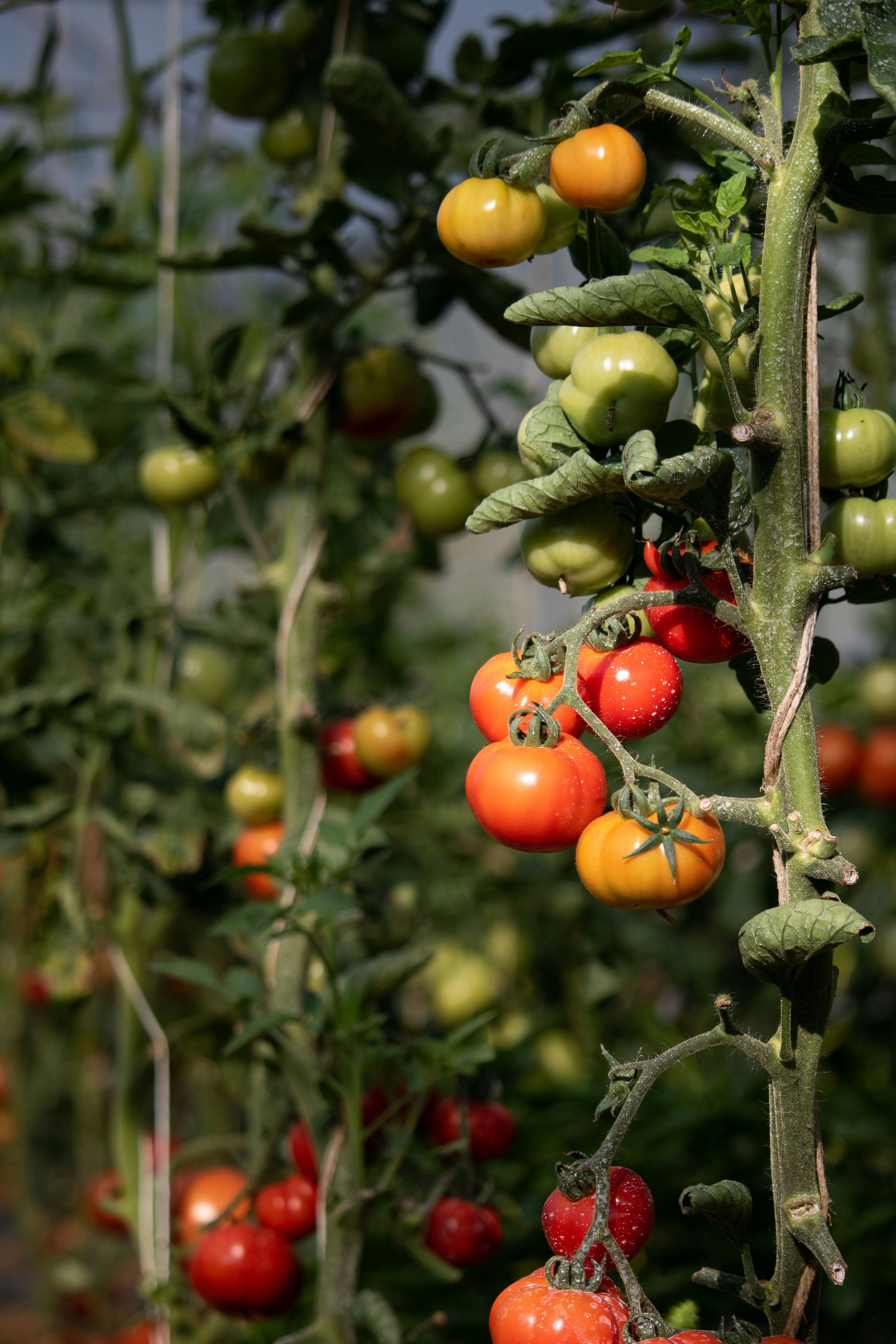 Photo by angelbalashev