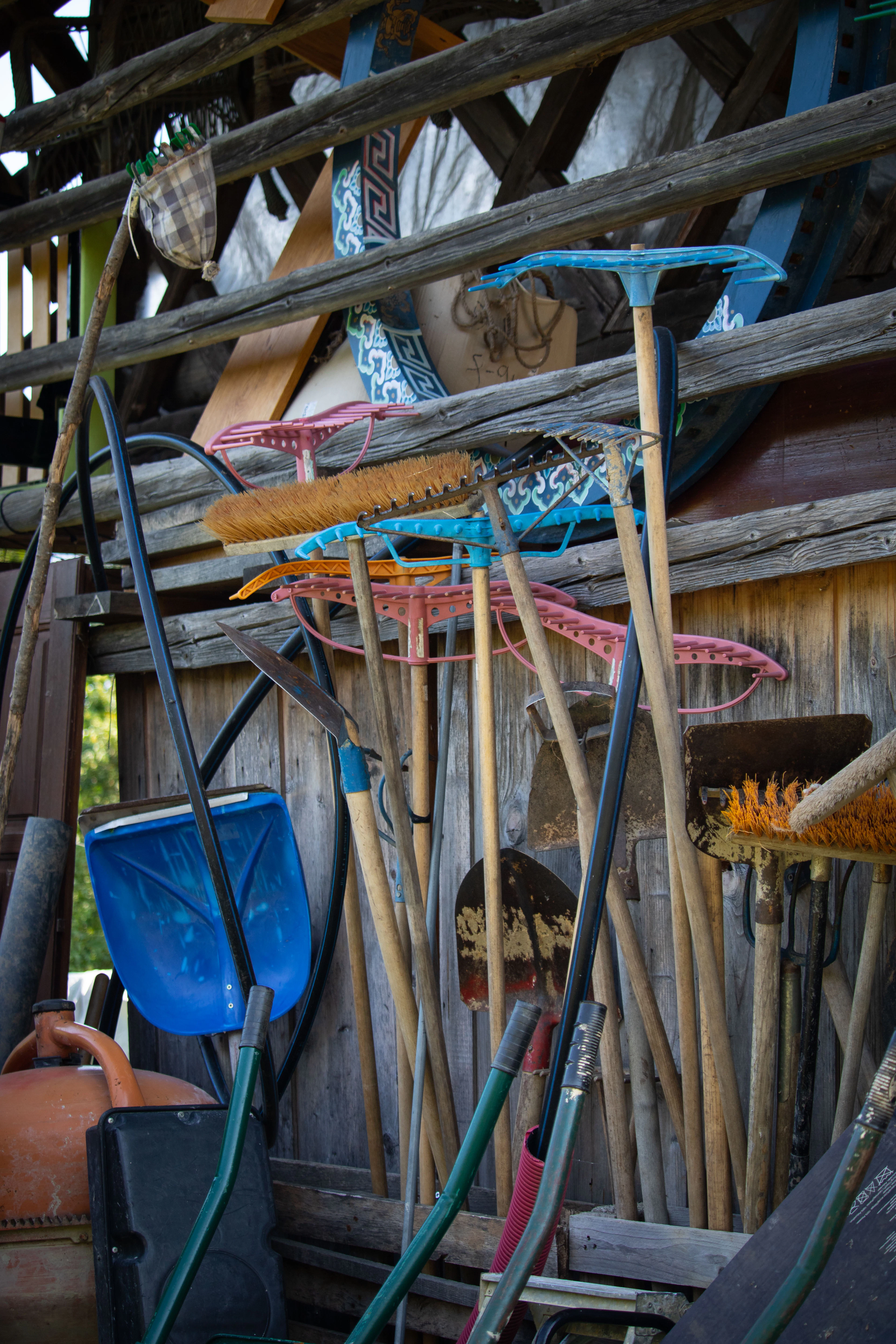 Yard Waste Removal in New Hill, NC