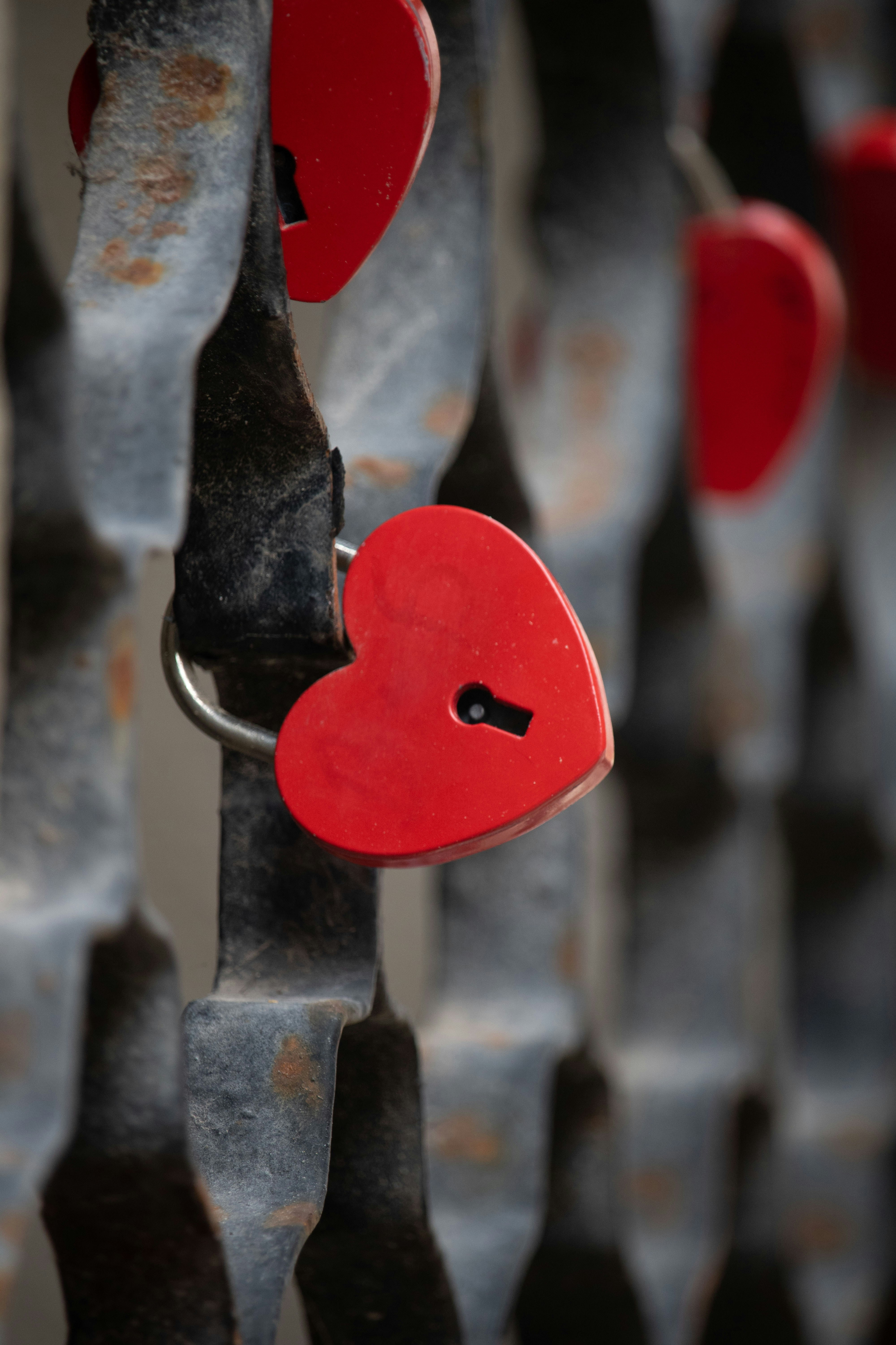 Ciocche rosse a forma di cuore su una recinzione di metallo