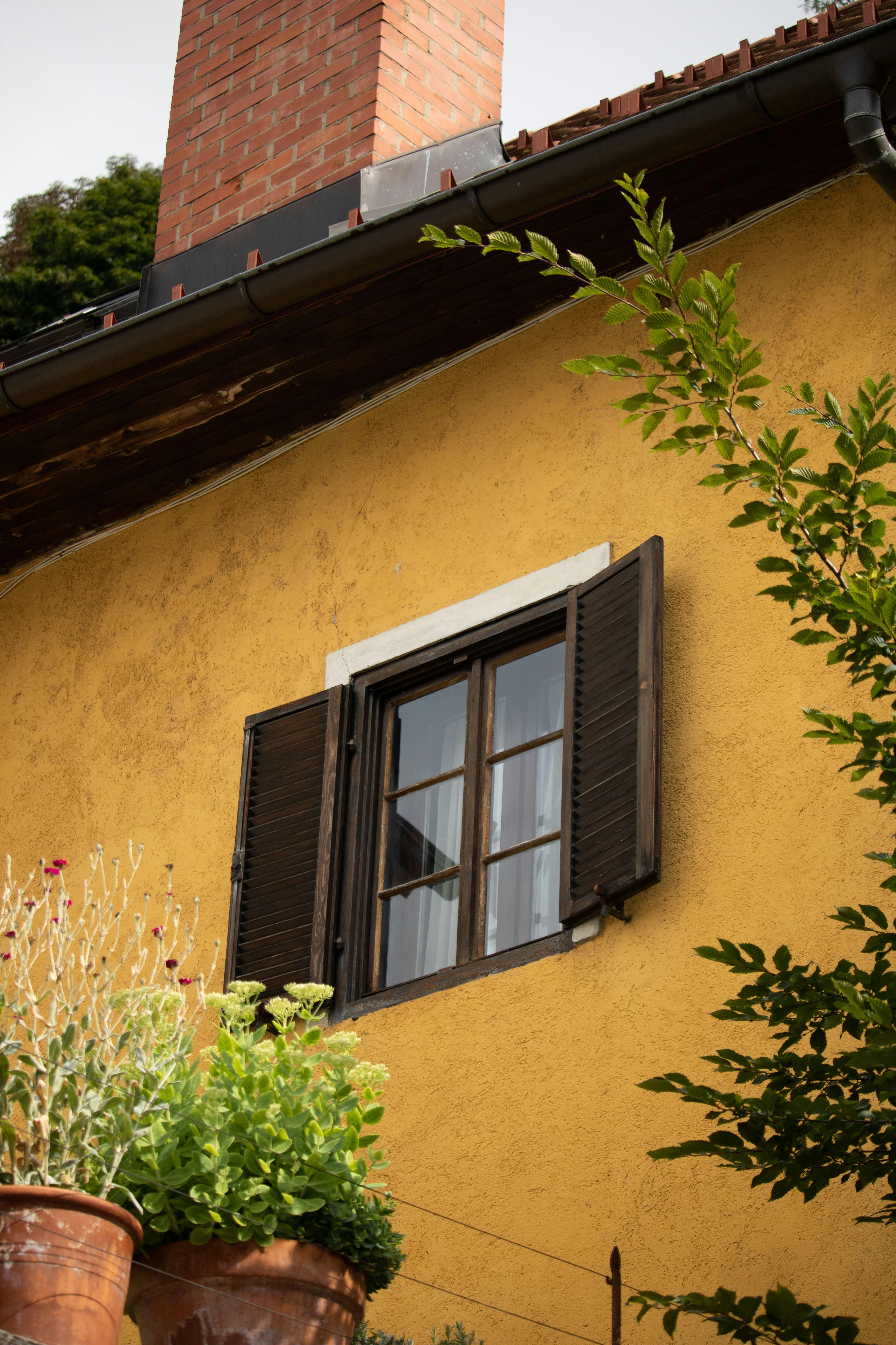 Photo by angelbalashev