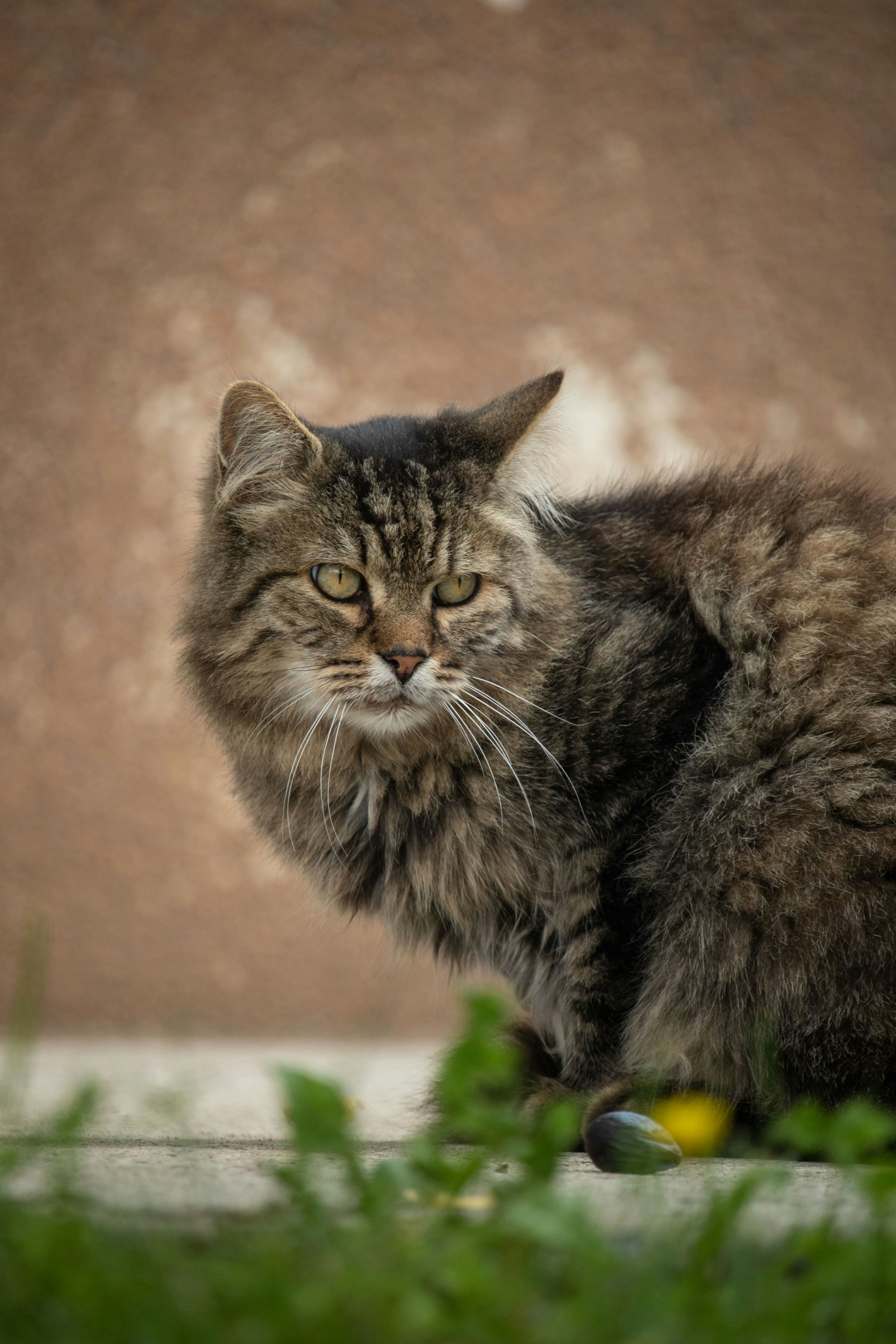 Photo by angelbalashev