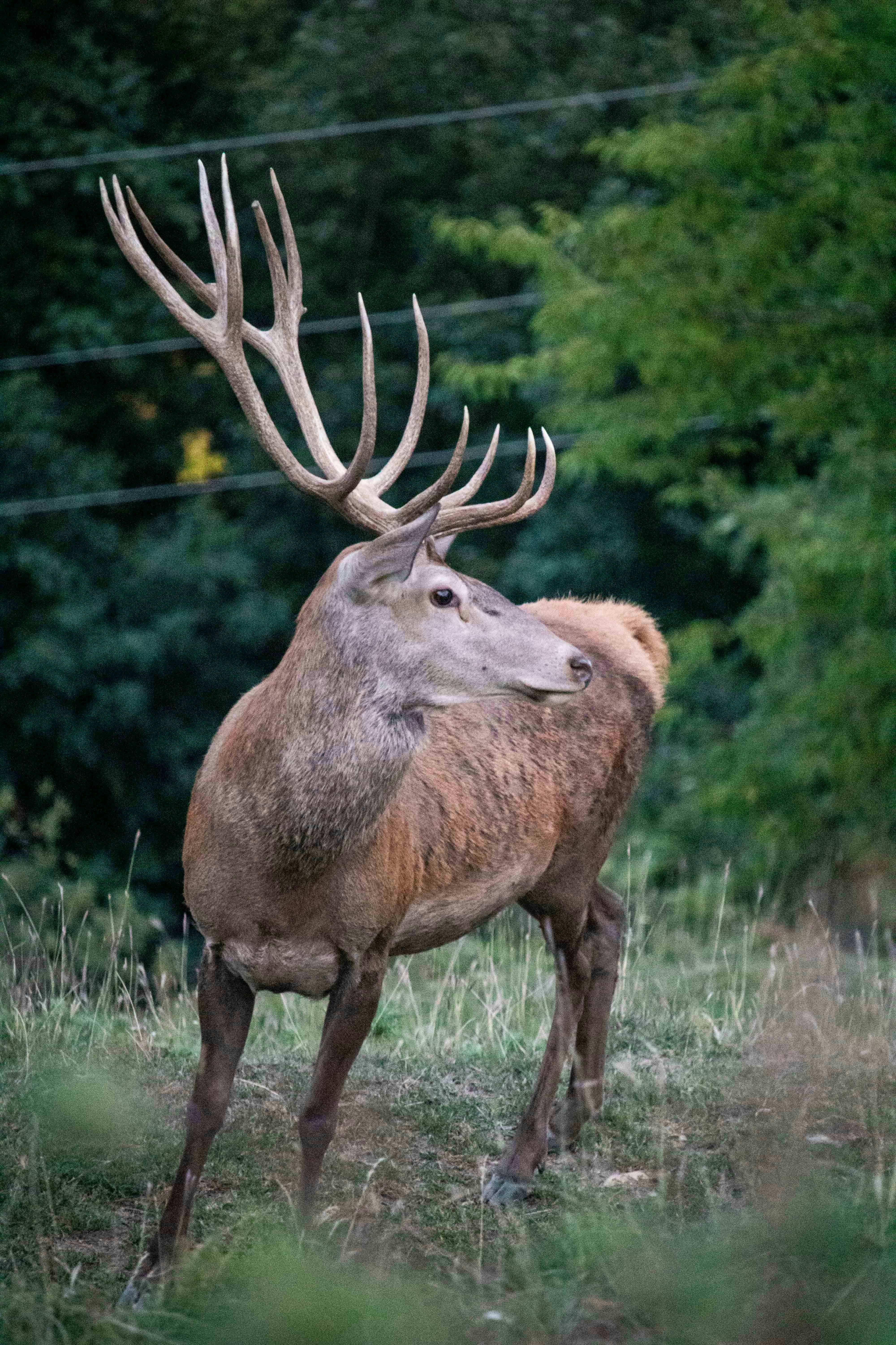 Photo by angelbalashev