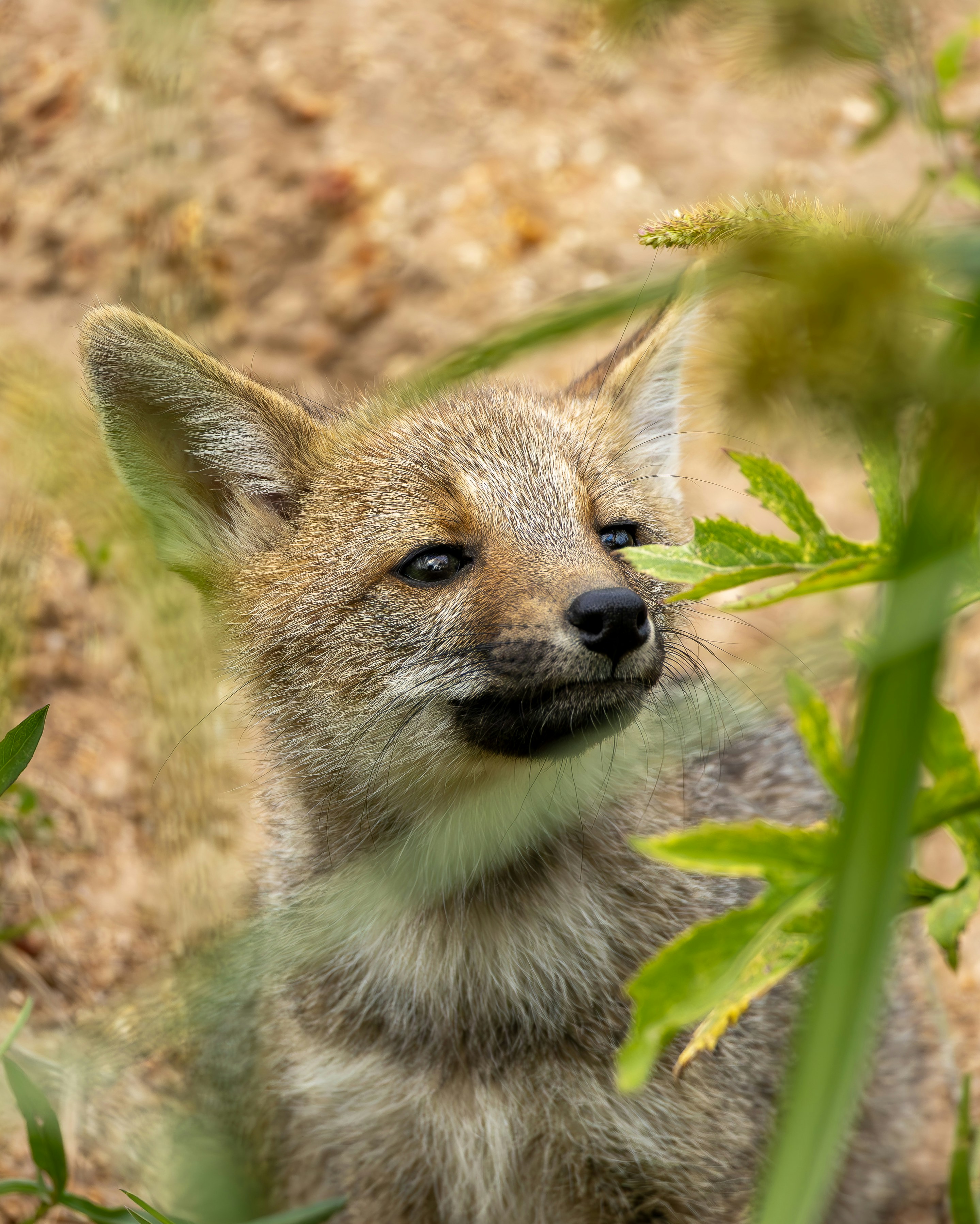 Photo by matheuskprot