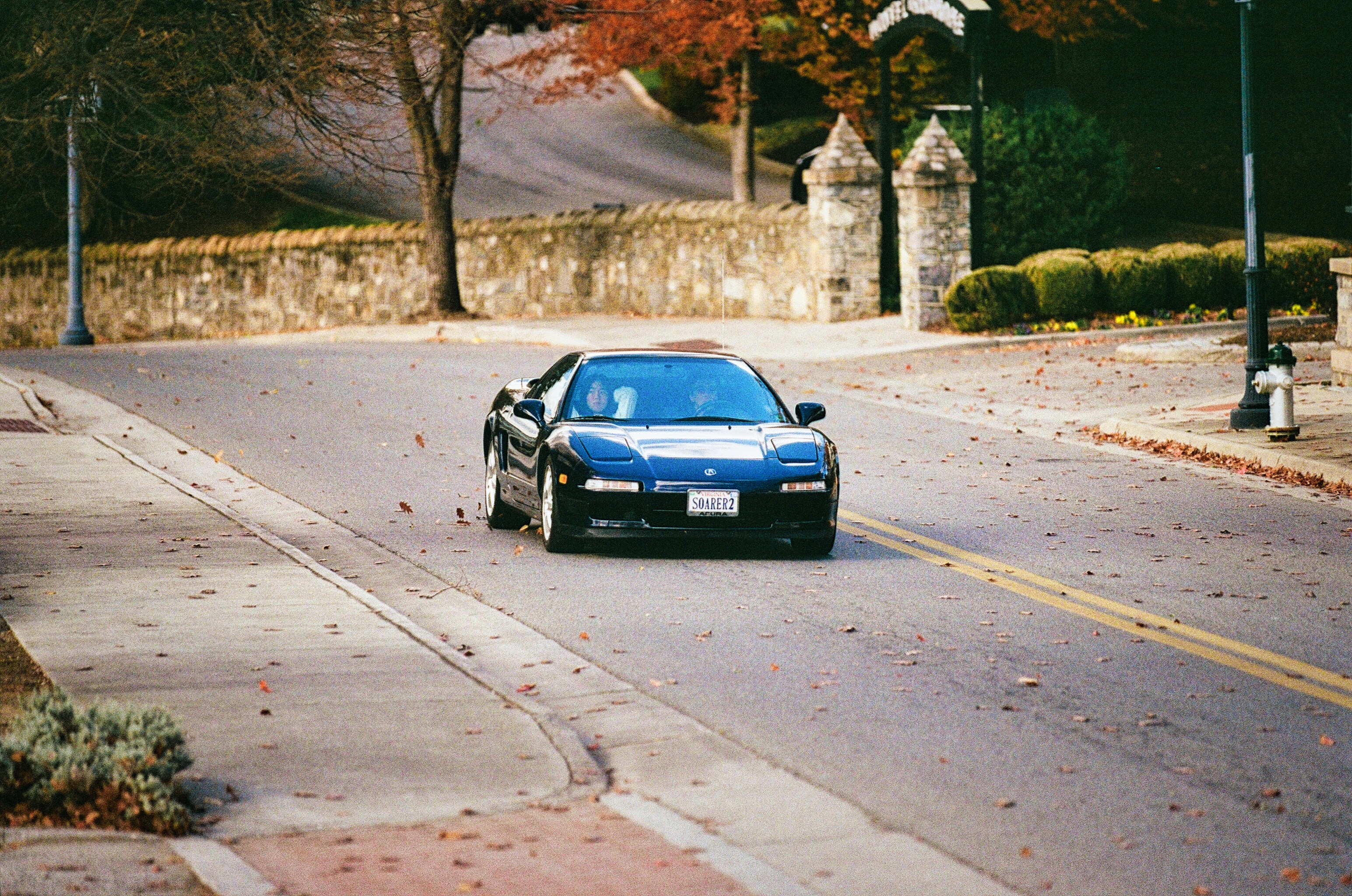 Black sports car driving on a tree-lined street.