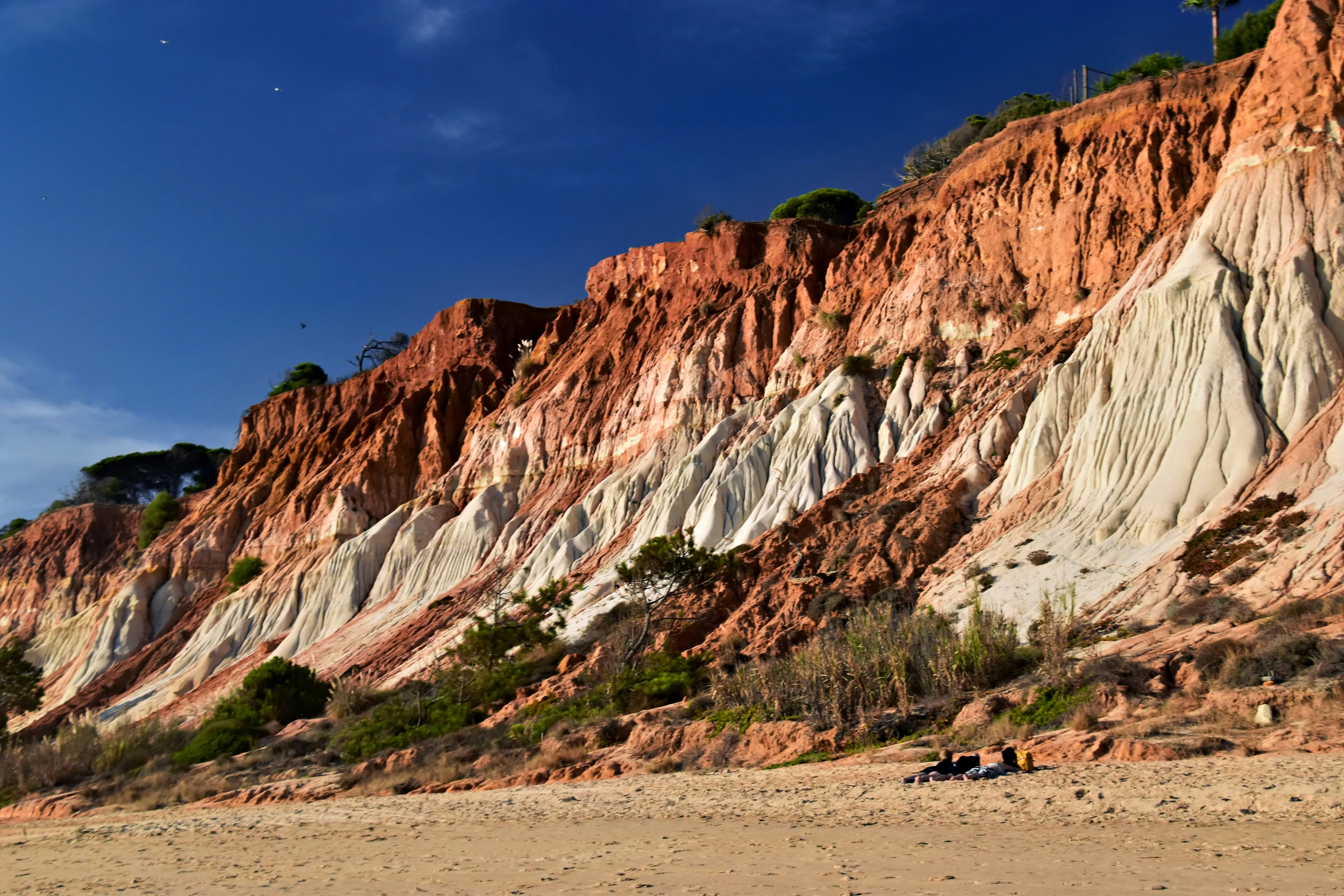 Praia da Falésia Açoteias