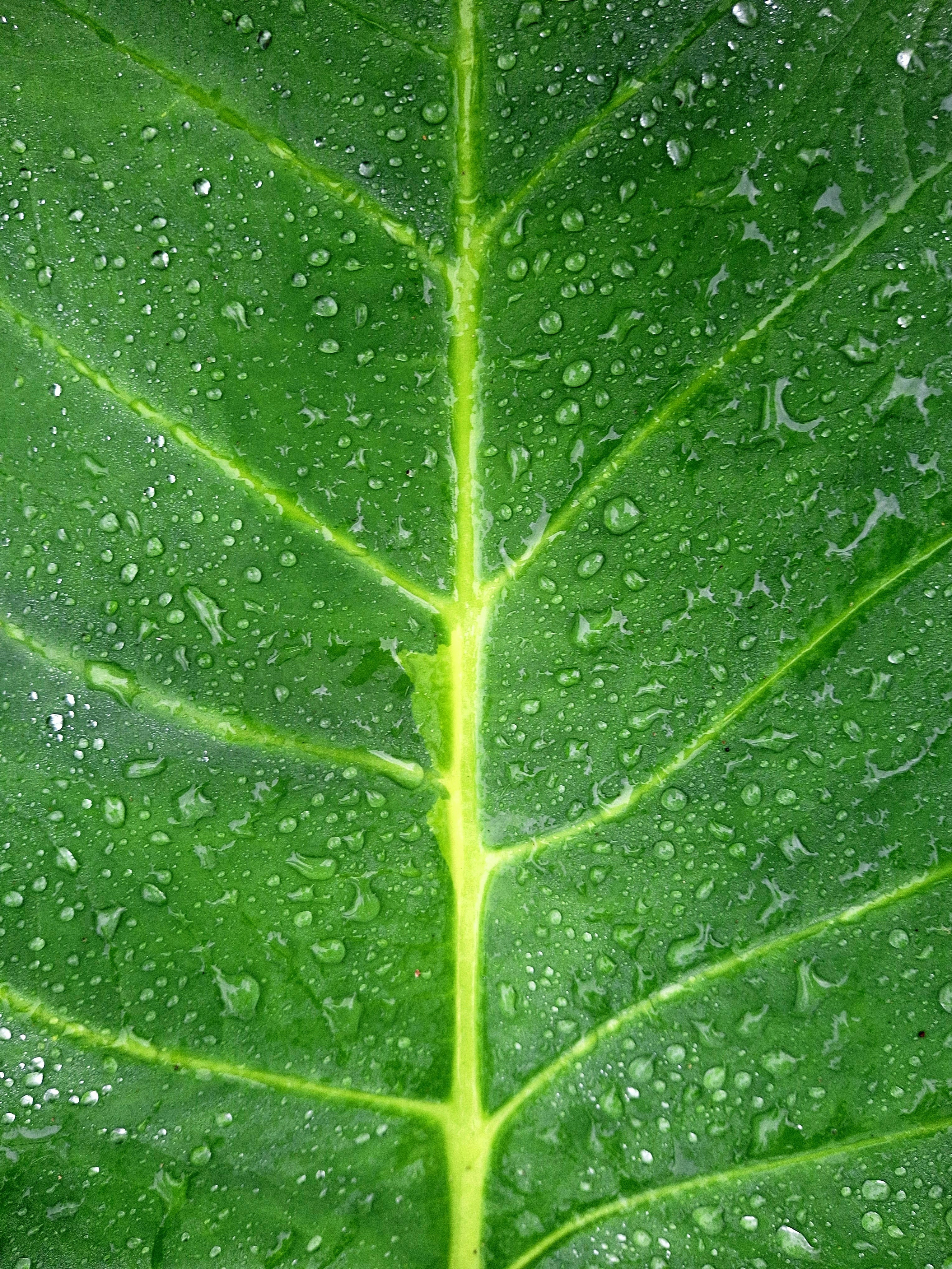 Photo by abdullohfauzan