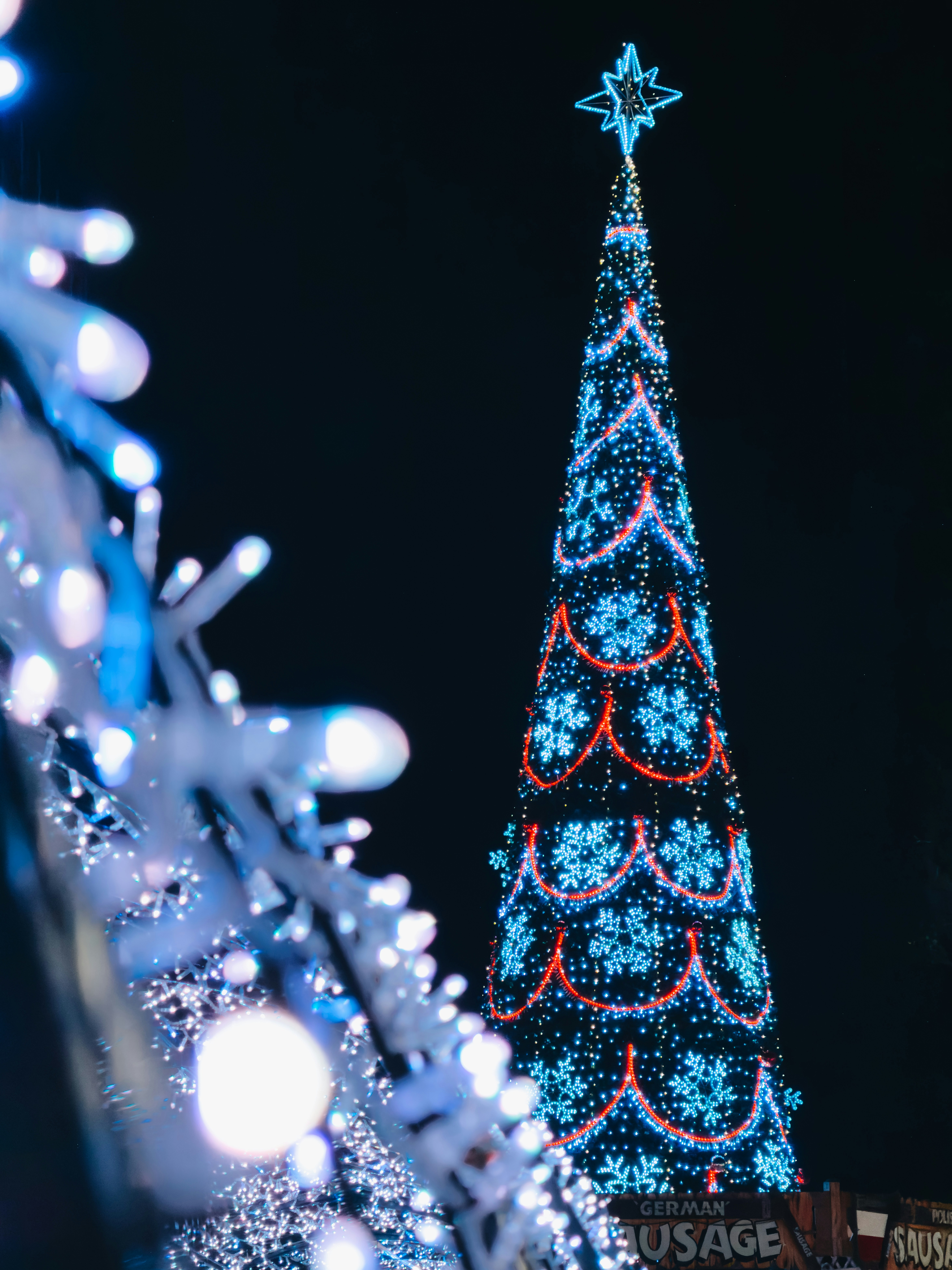 Photo by lucasfariia