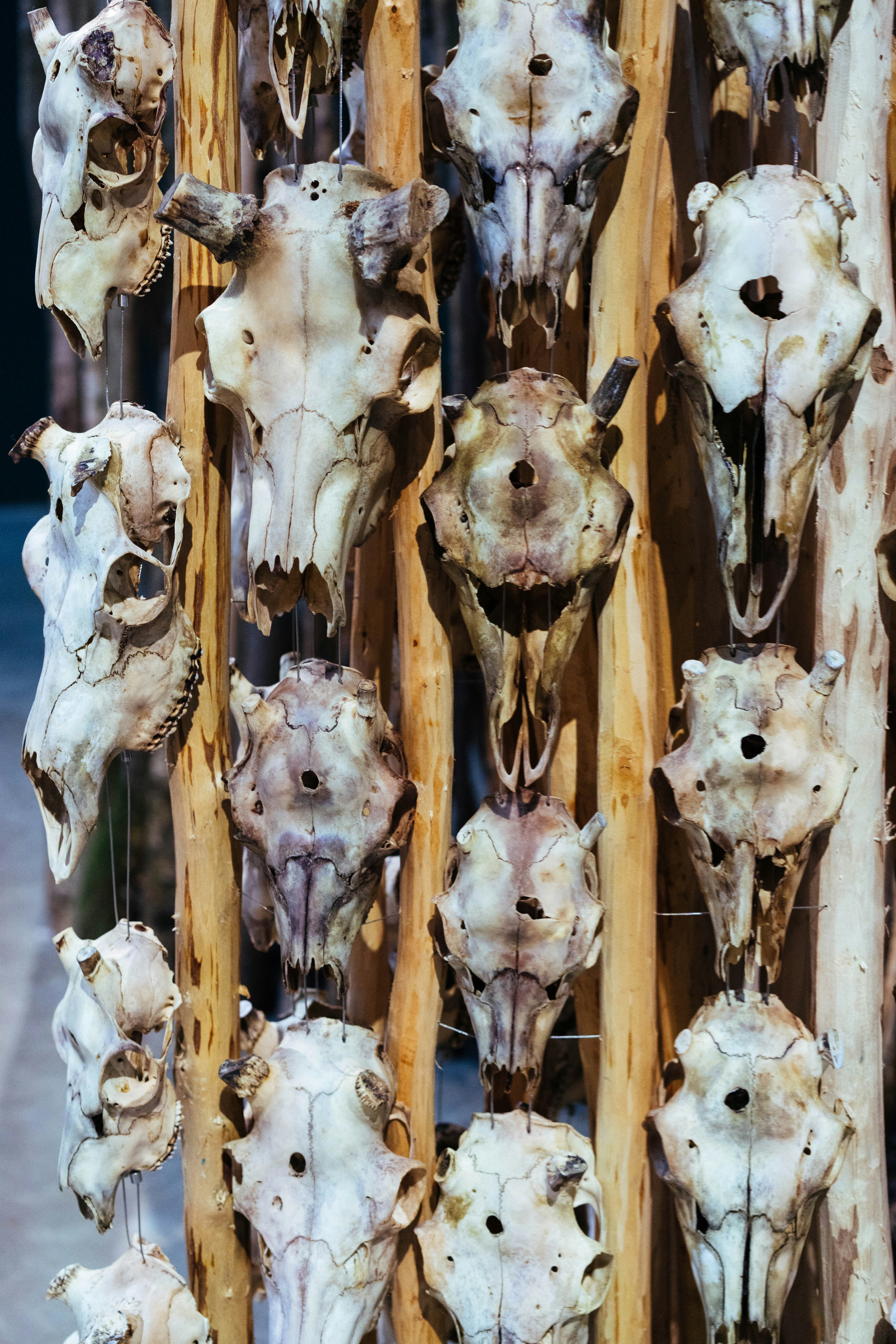 Photo by philhearing