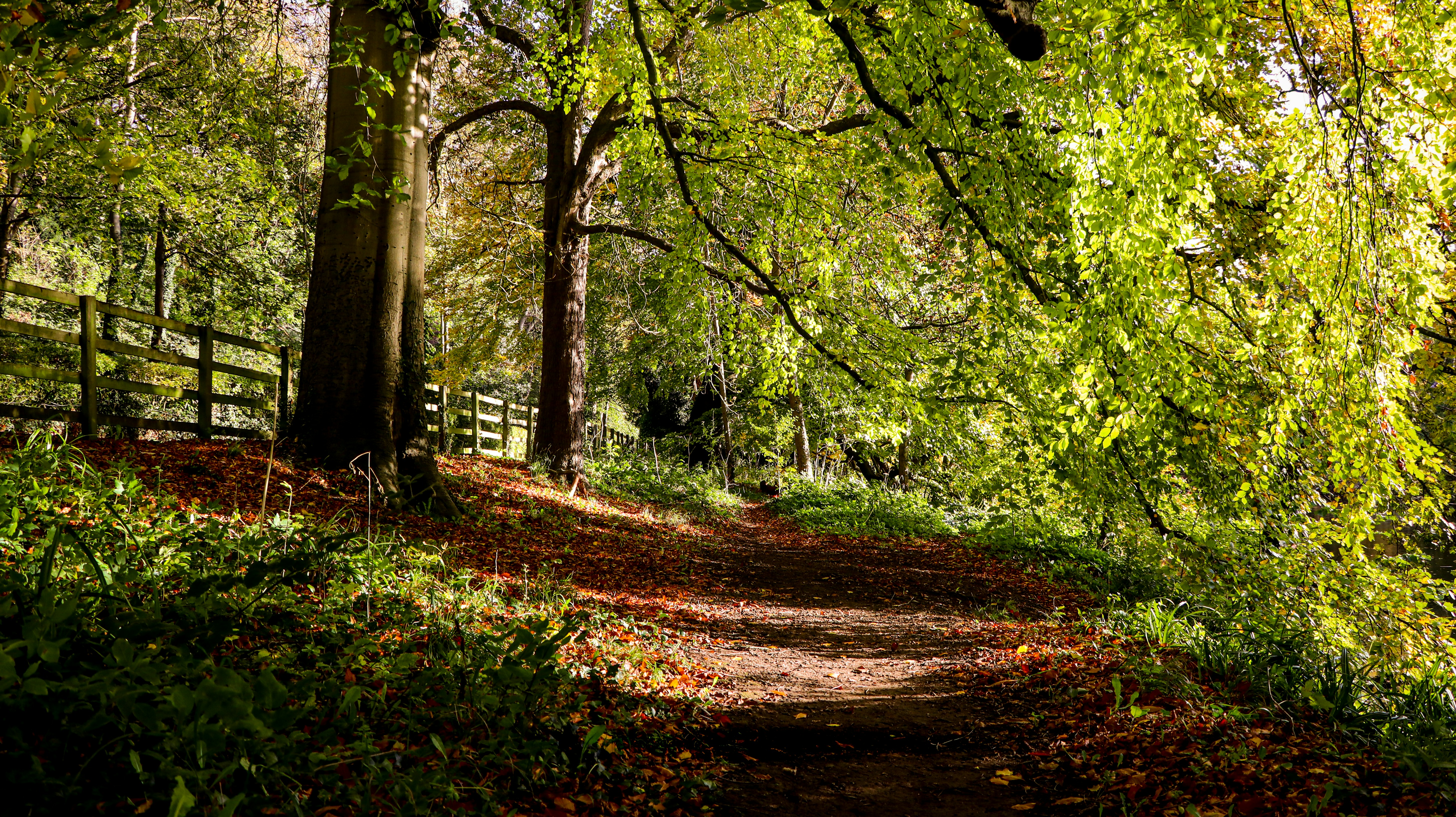 Photo by mhfphotographygb