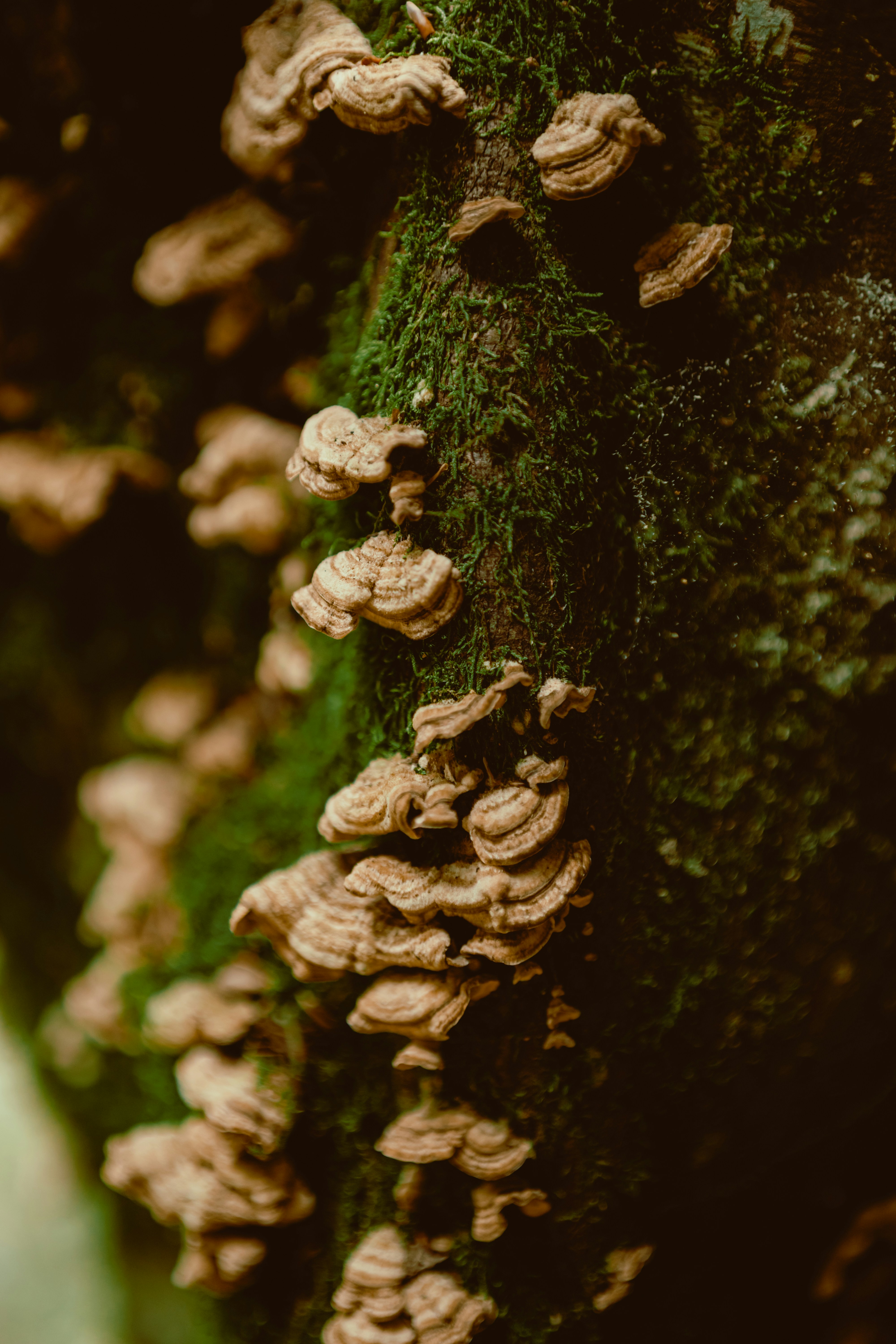 Photo by anajovanovski