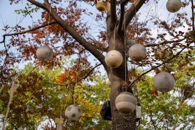 您的生活图片描述