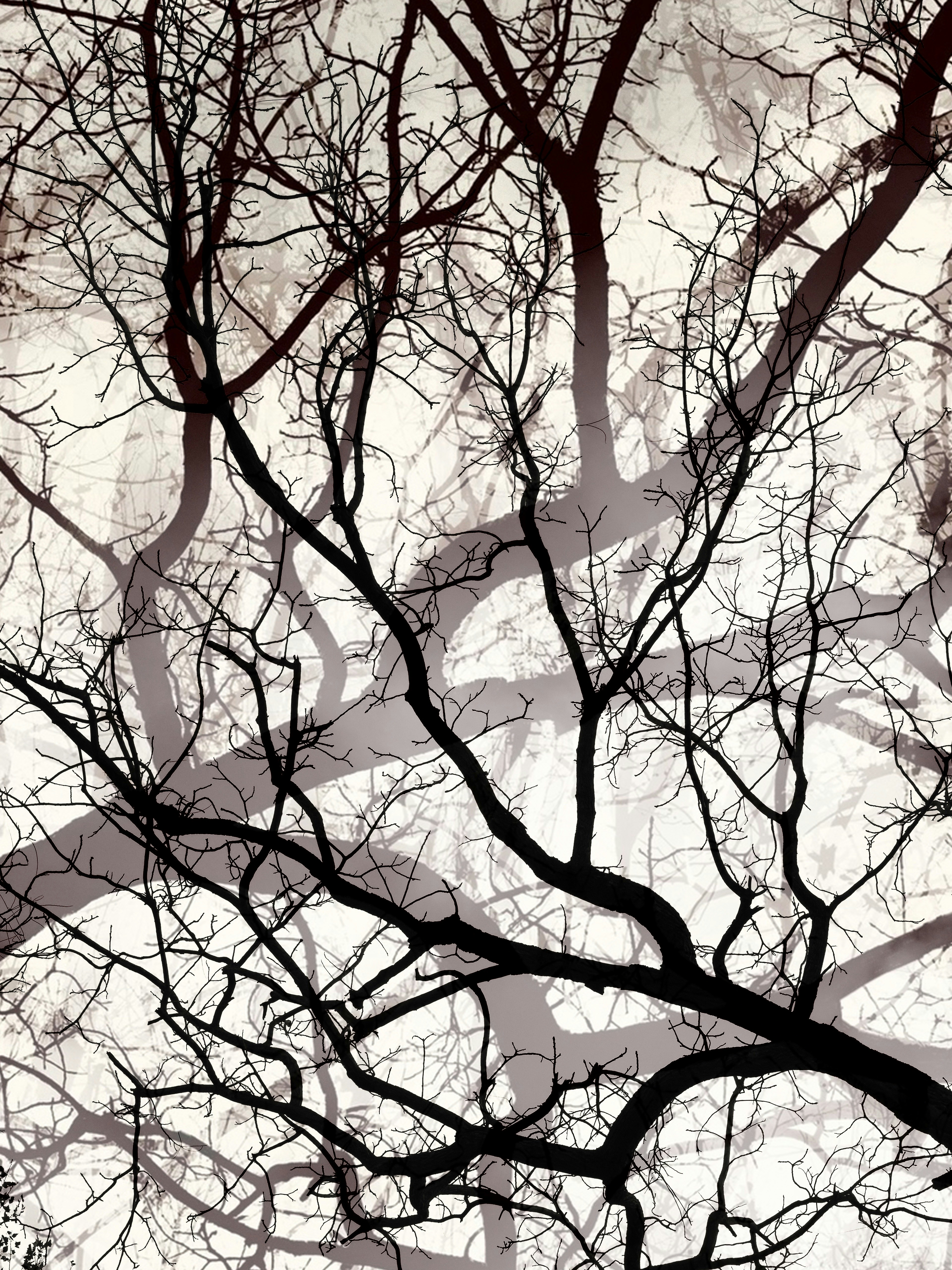 Photo by sschusterphotoart