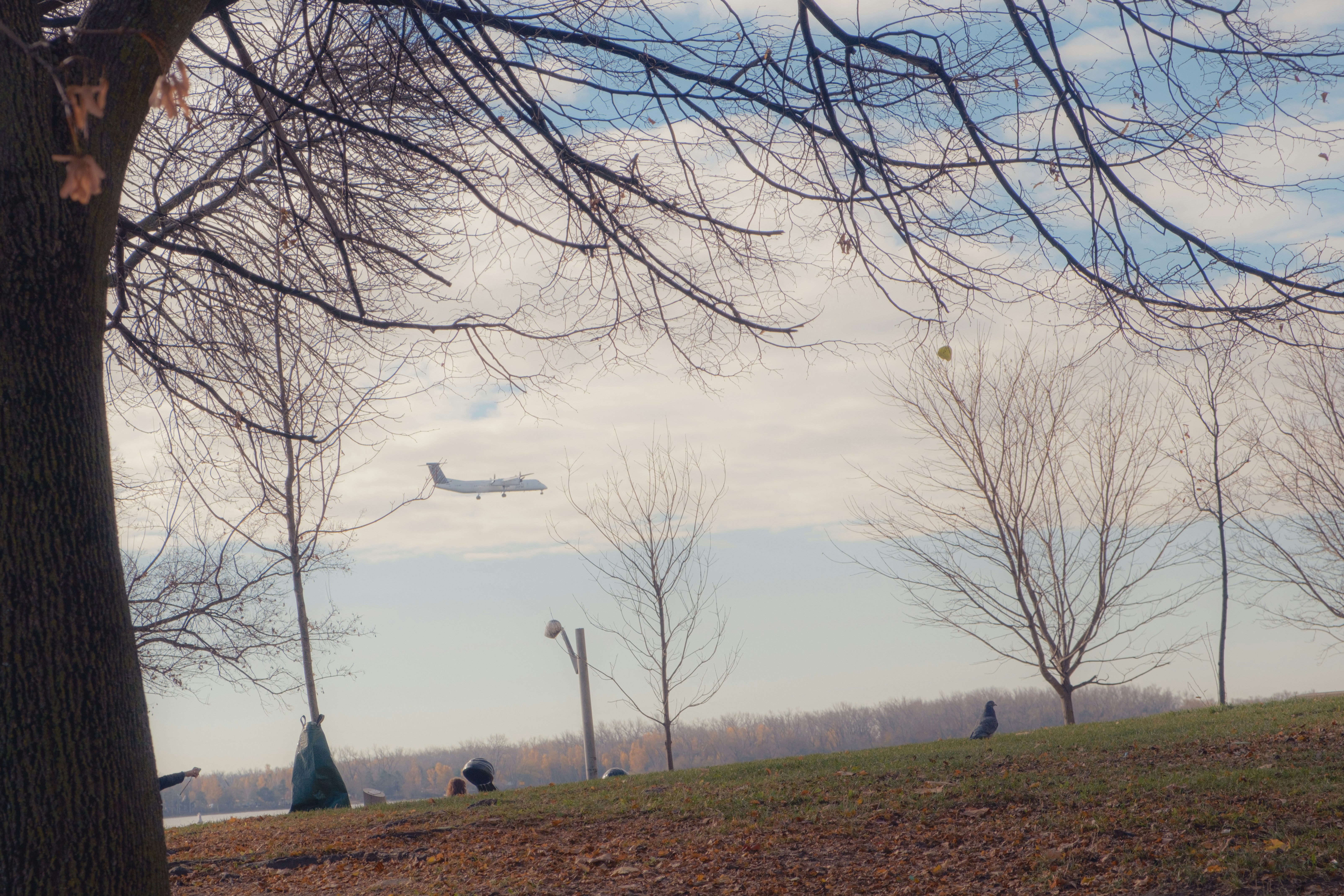 Winfall Landing Park