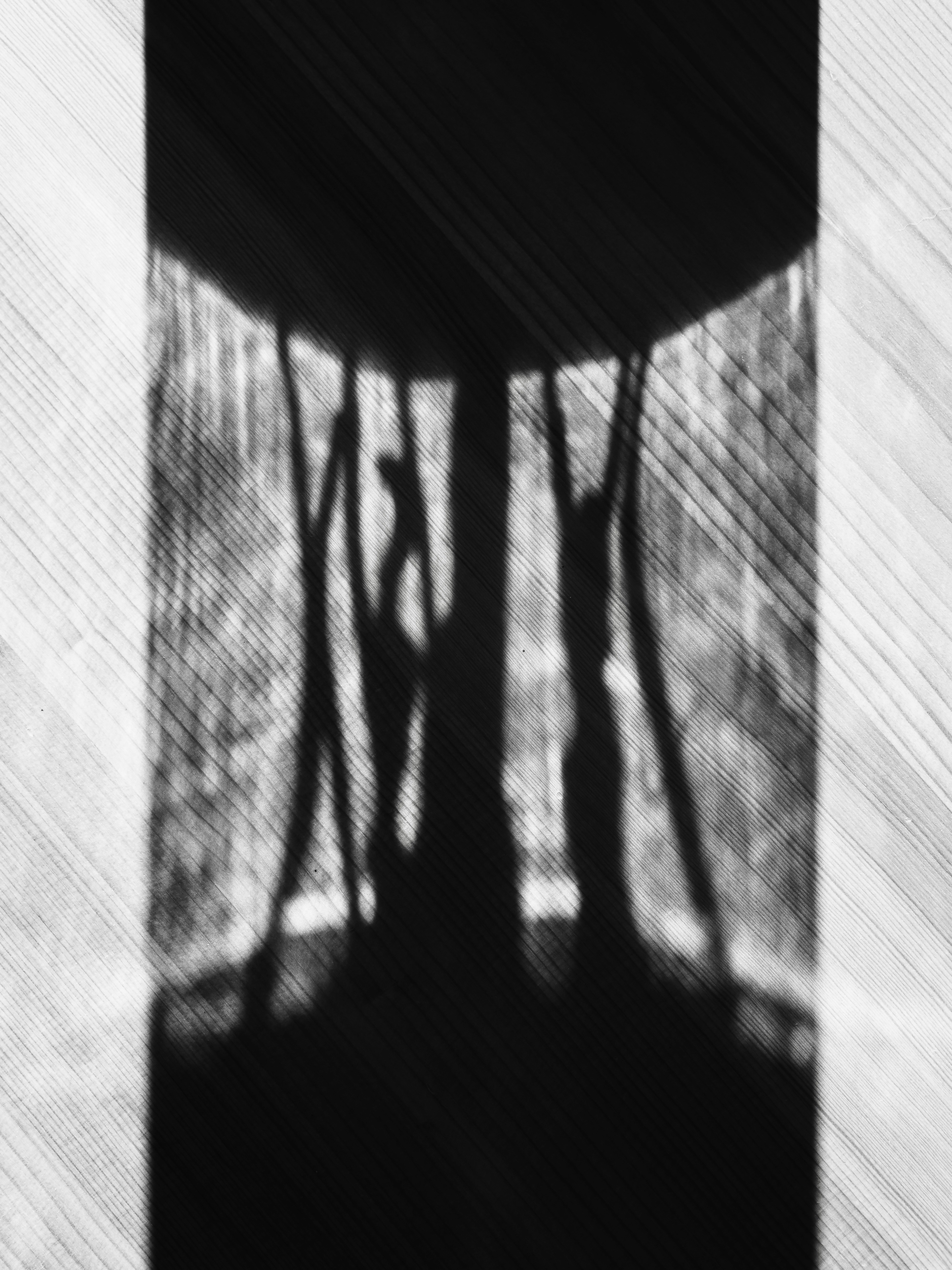 Photo by sschusterphotoart