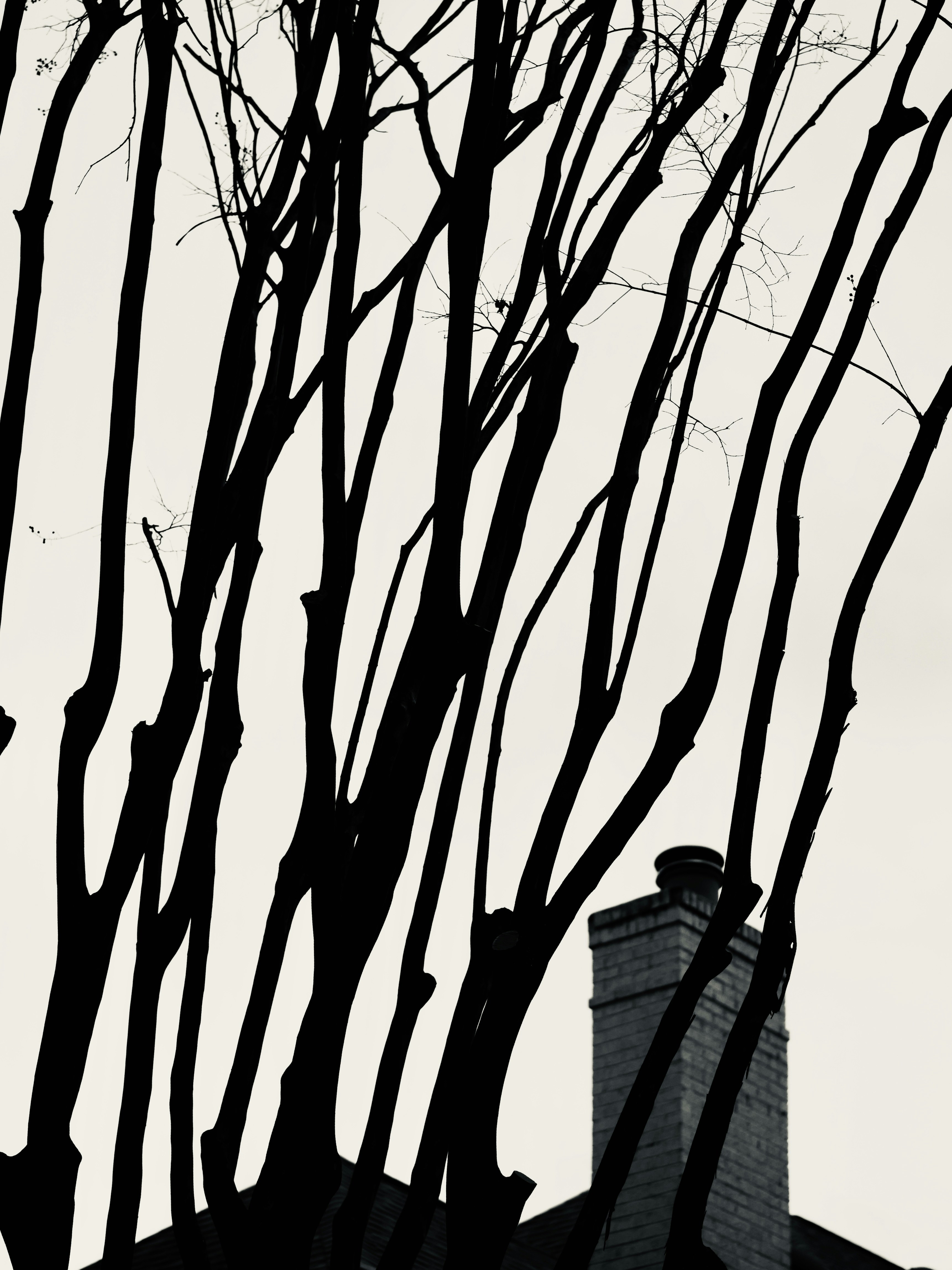 Photo by sschusterphotoart