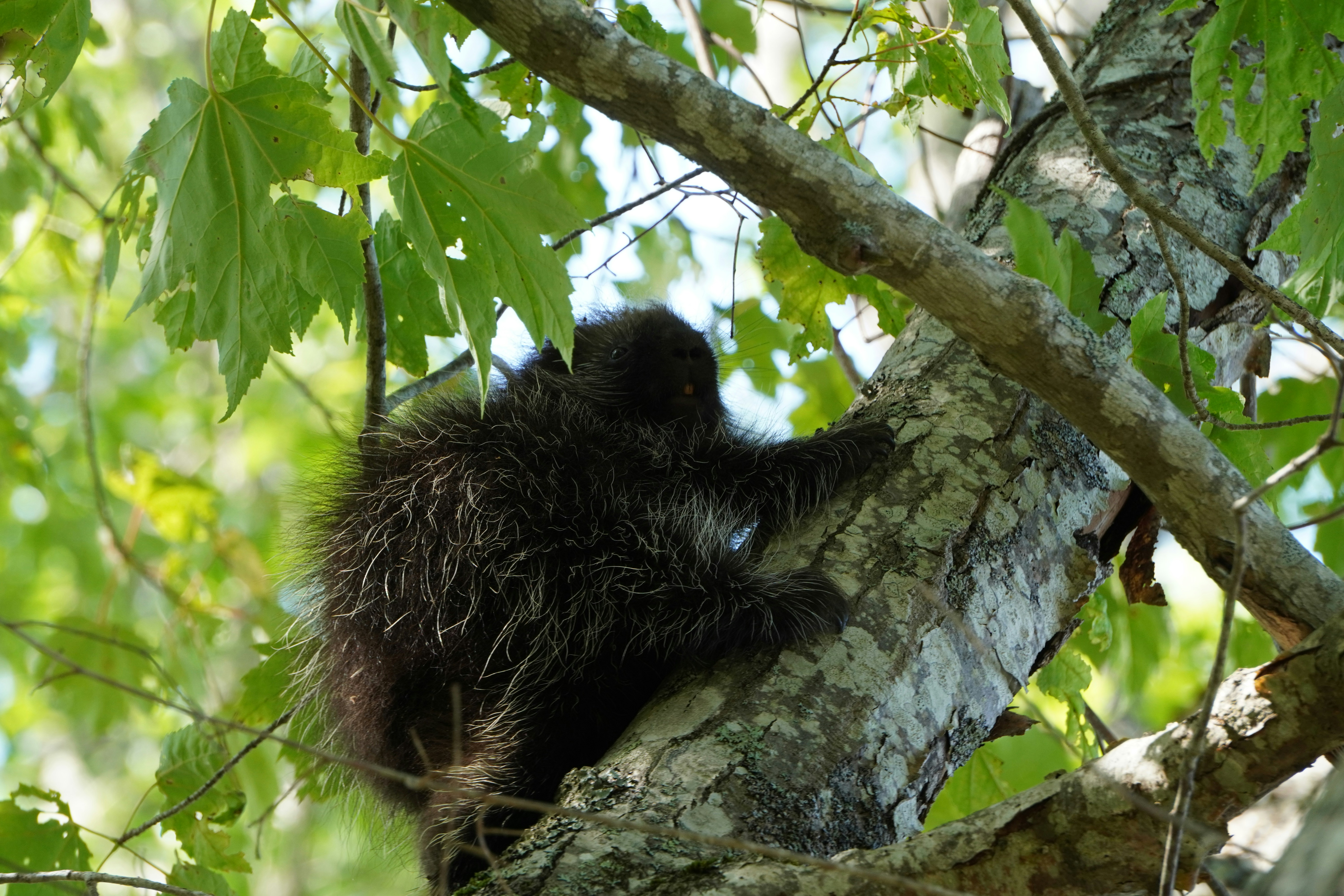 Photo by calm_stardust