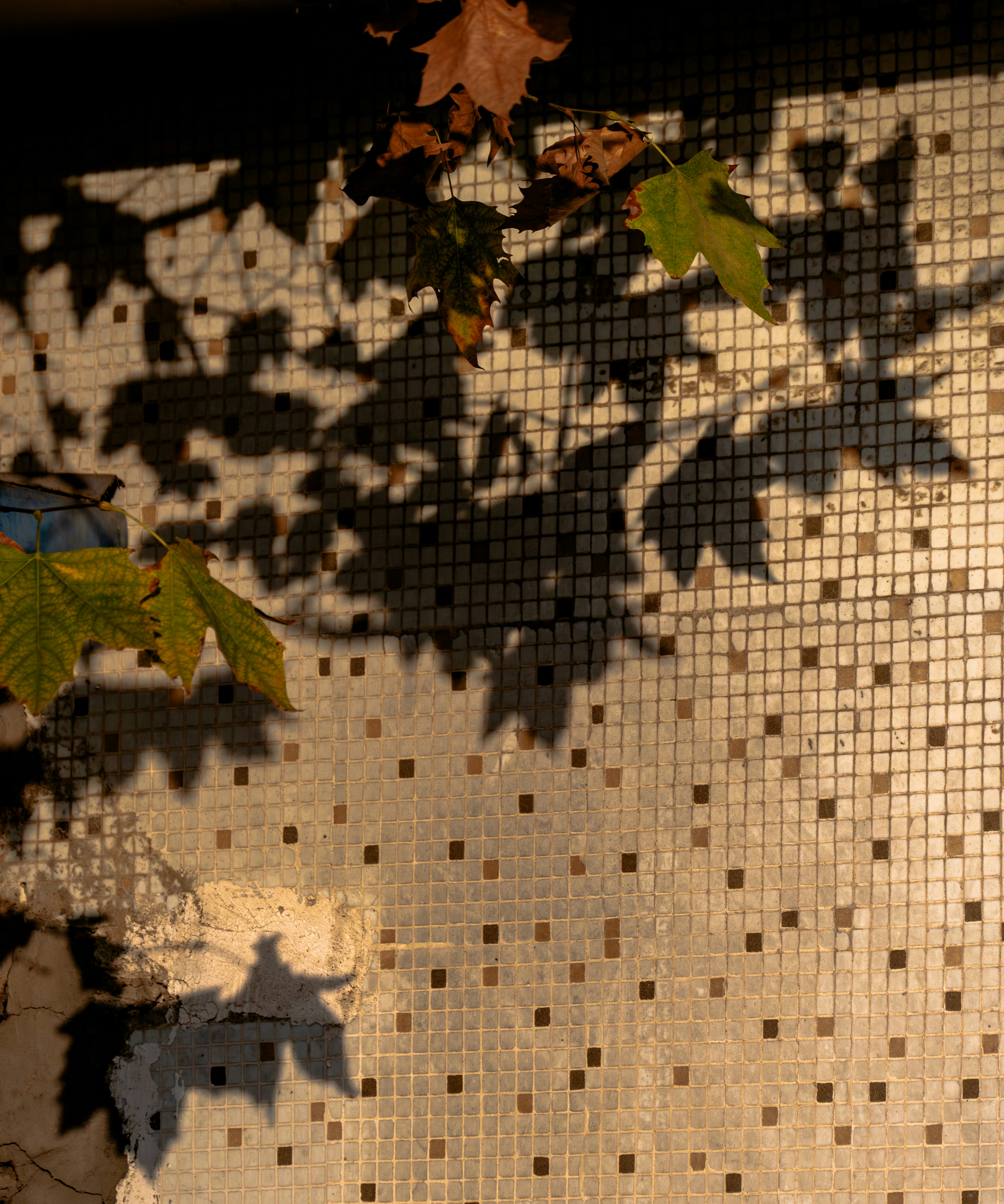 fall mosaic