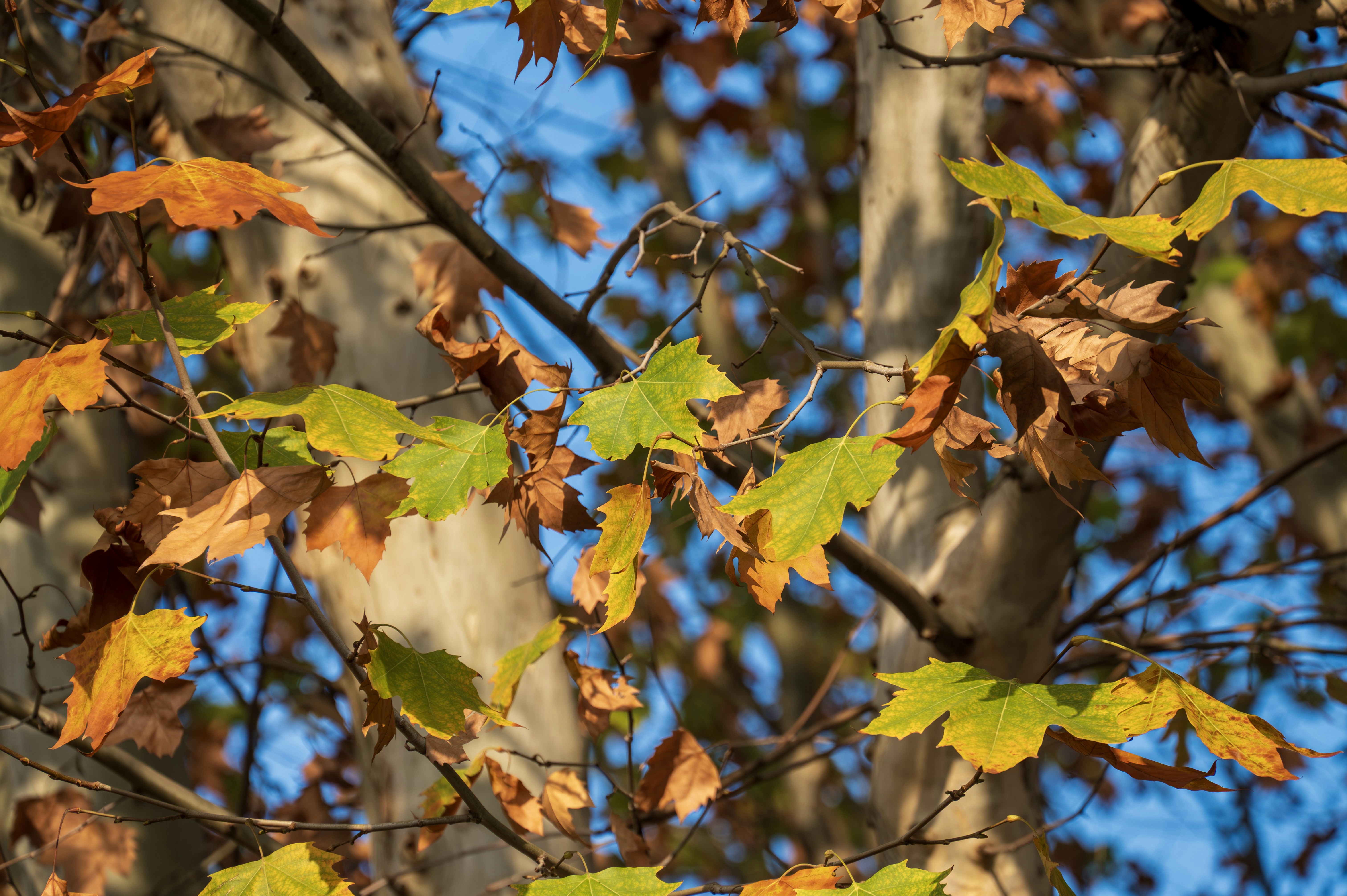 Photo by excellentcx